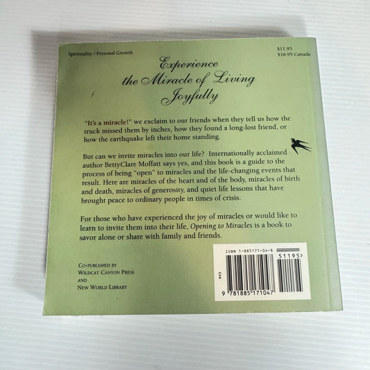 Opening to Miracles : True Stories of Blessings and Renewal - BettyClare Moffatt