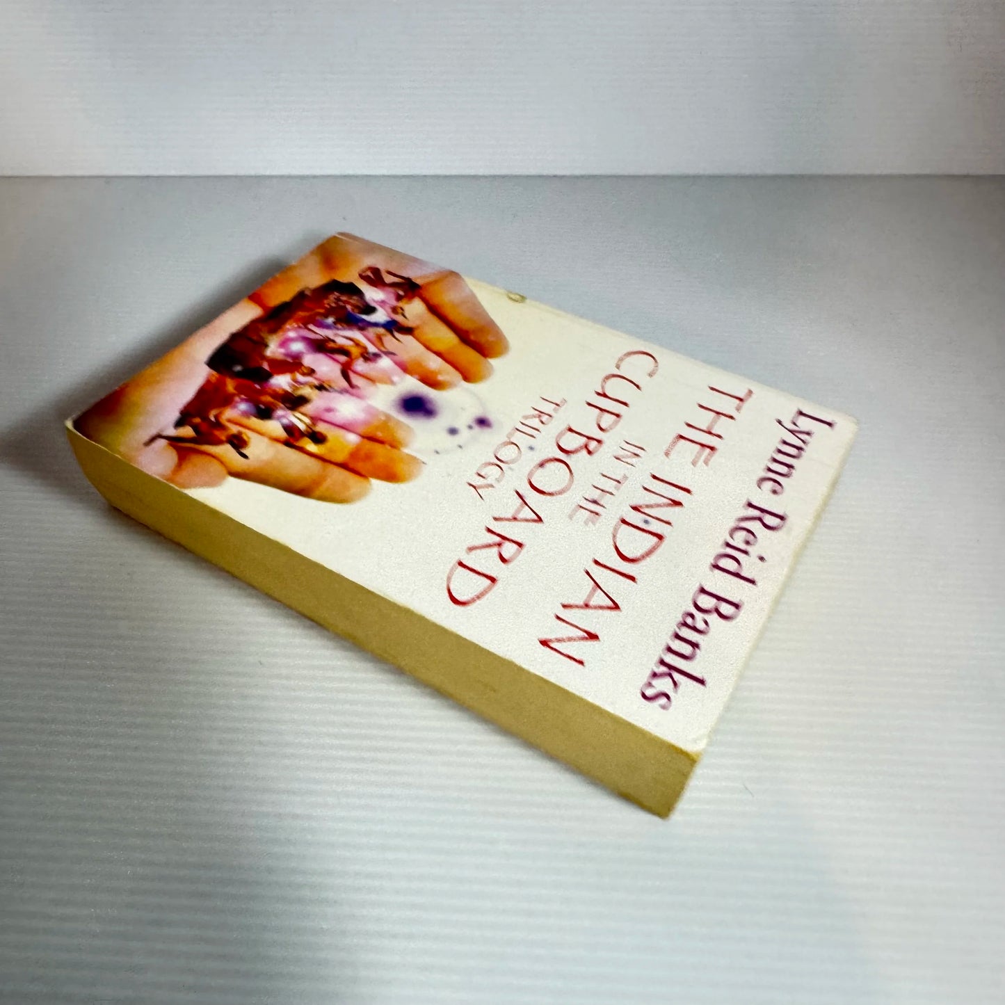 The Indian in the Cupboard Trilogy - Lynne Reid Banks