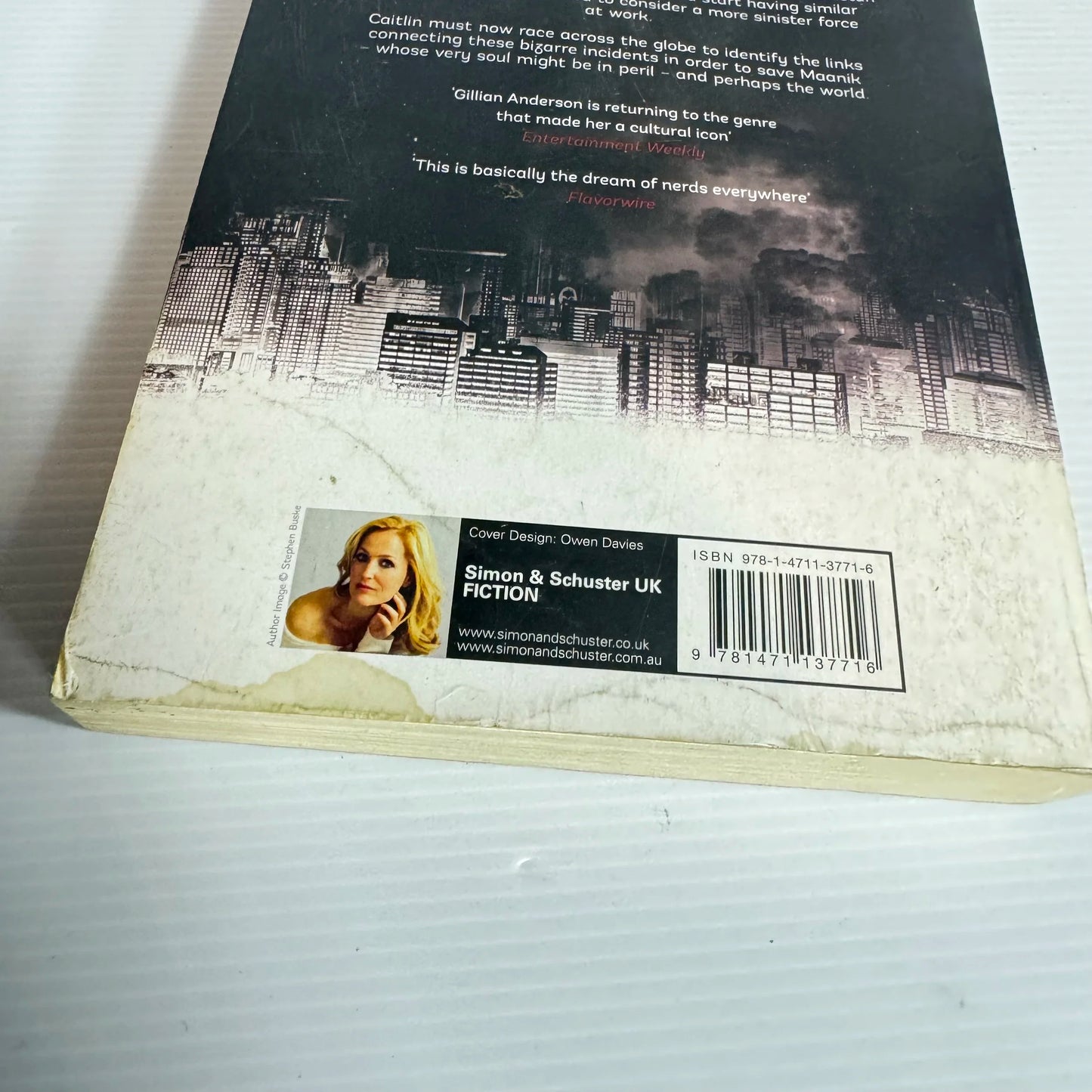 A Vision Of Fire - Gillian Anderson & Jeff Rovin