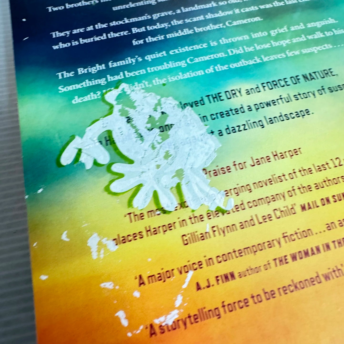 The Lost Man - Jane Harper