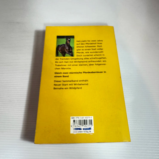 Sommer mit Wirbelwind - Harriet Buchheit (Summer with Whirlwind) (German Language)