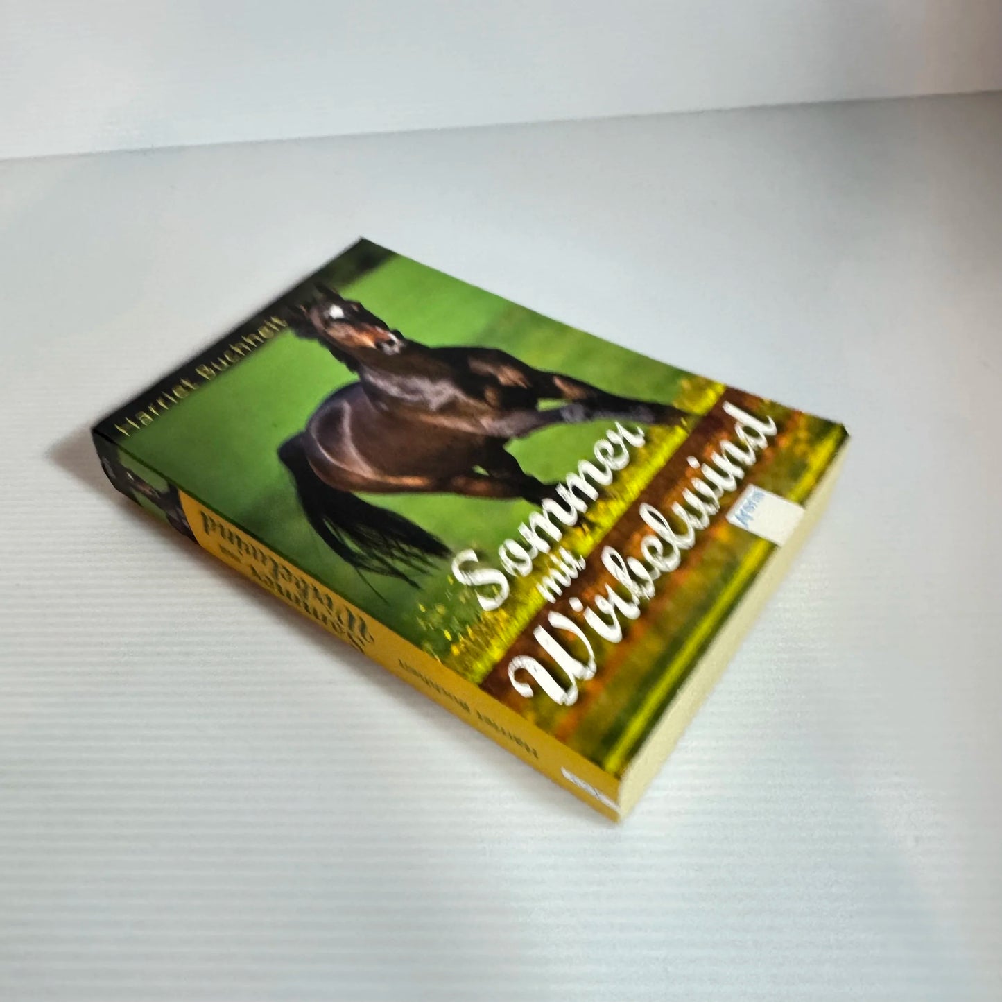 Sommer mit Wirbelwind - Harriet Buchheit (Summer with Whirlwind) (German Language)