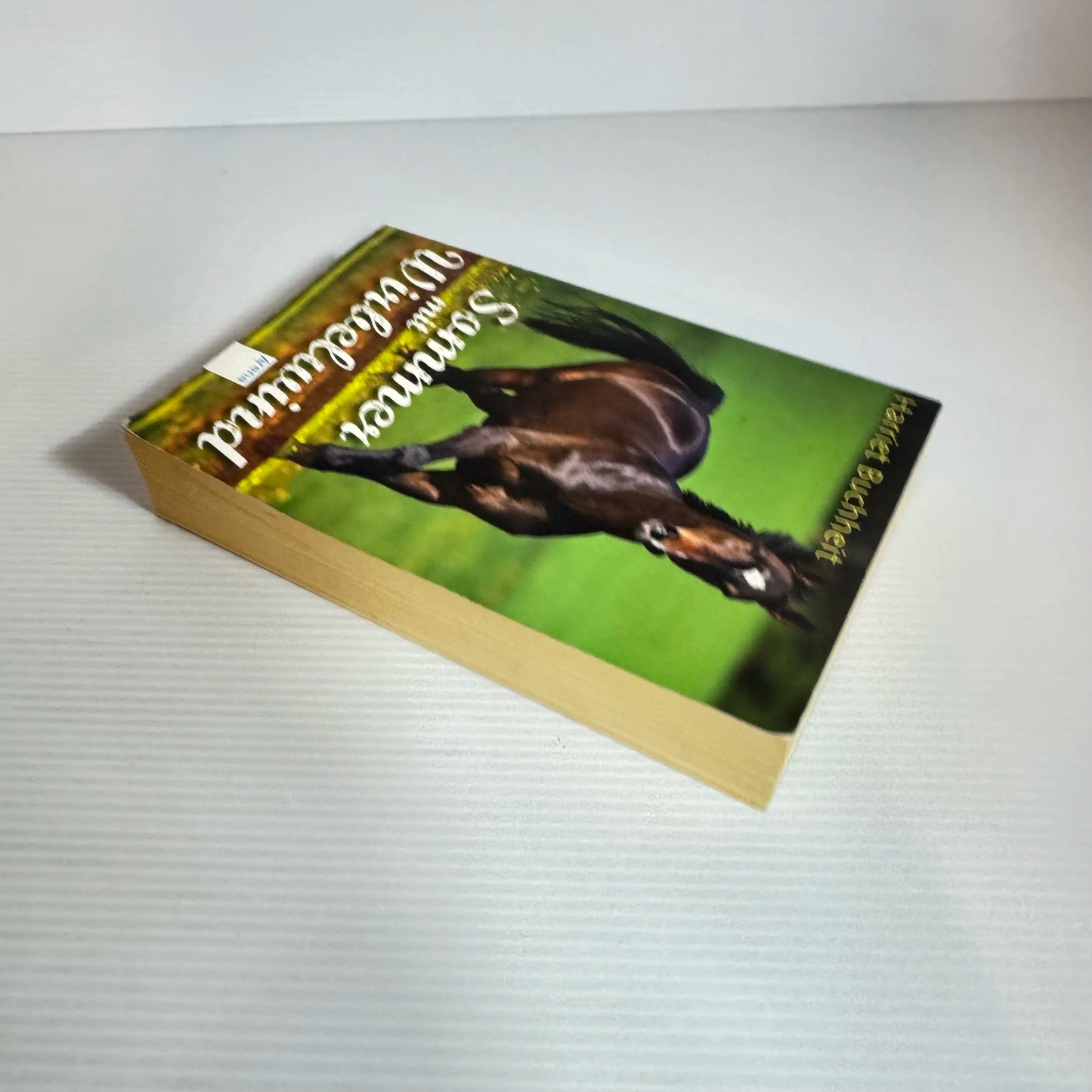 Sommer mit Wirbelwind - Harriet Buchheit (Summer with Whirlwind) (German Language)