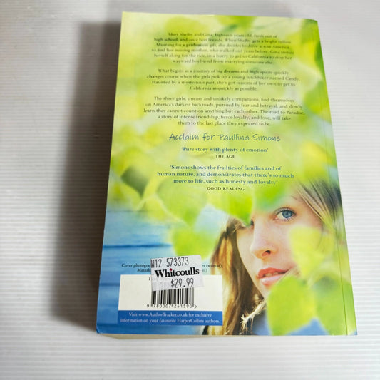 Road to Paradise - Paullina Simons