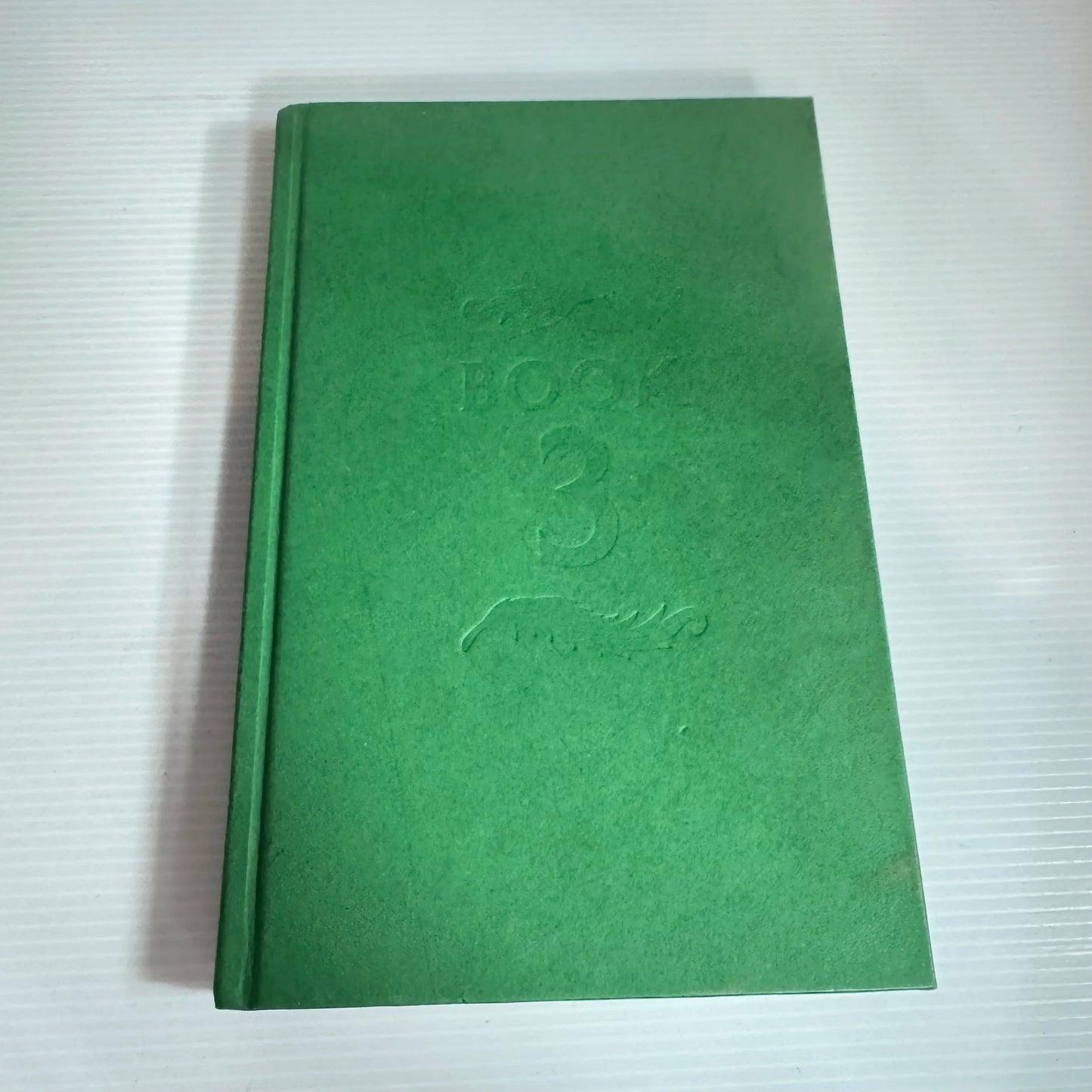 Skyborn Book 3 - Phoenix Flight