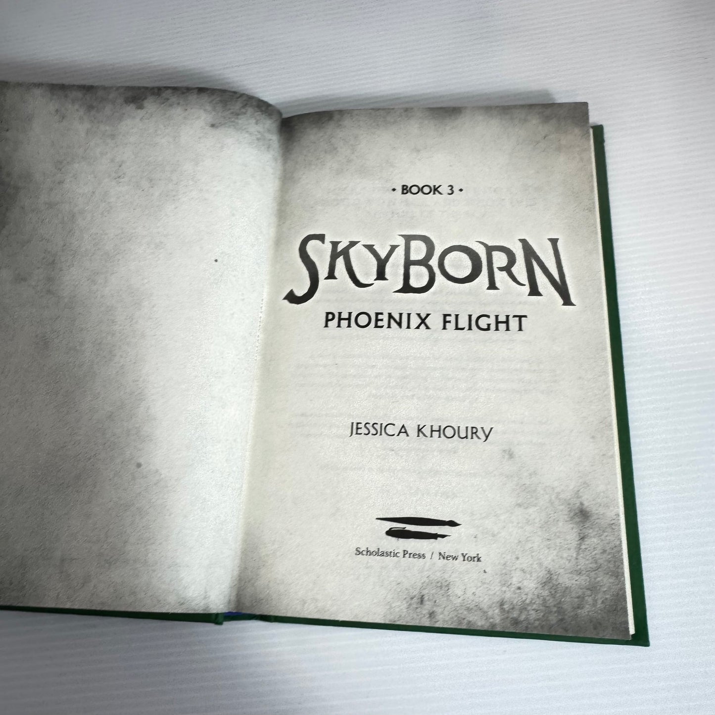 Skyborn Book 3 - Phoenix Flight