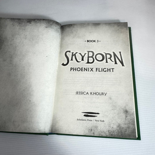 Skyborn Book 3 - Phoenix Flight