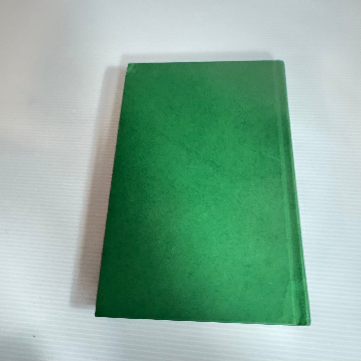 Skyborn Book 3 - Phoenix Flight