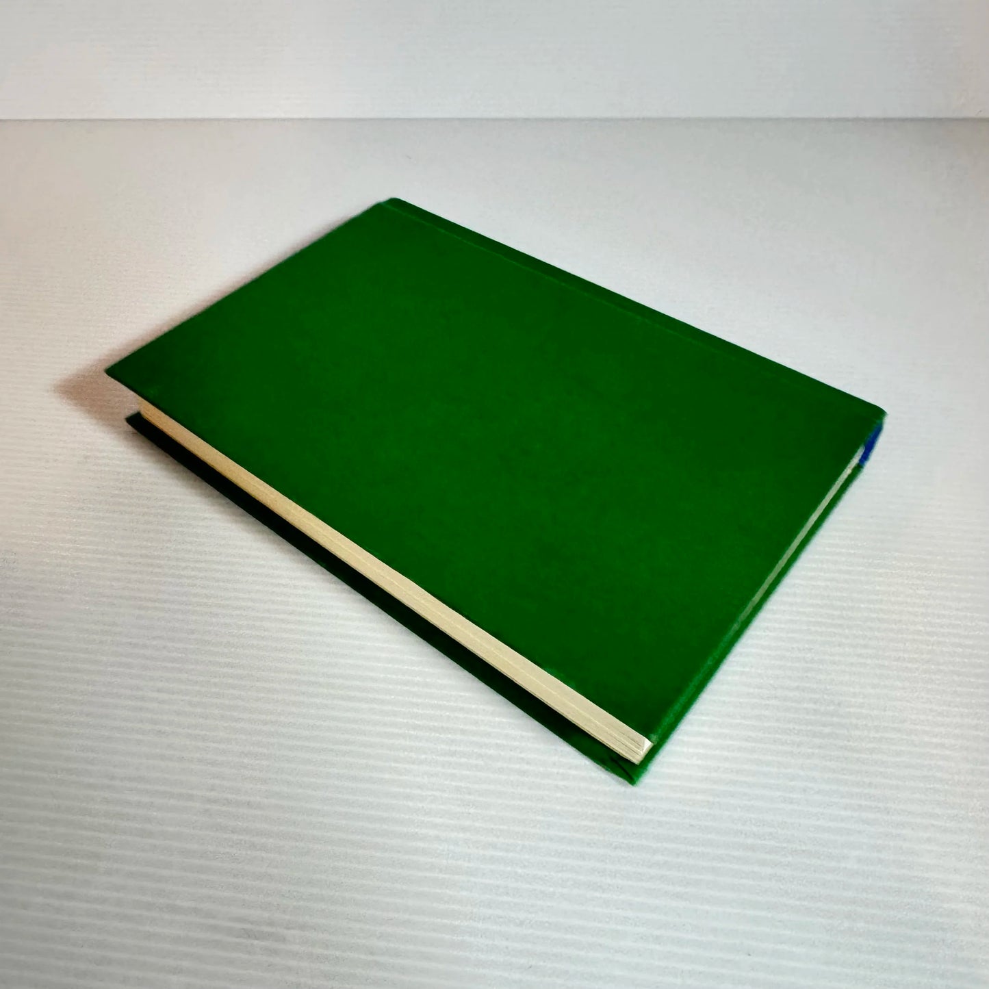 Skyborn Book 3 - Phoenix Flight