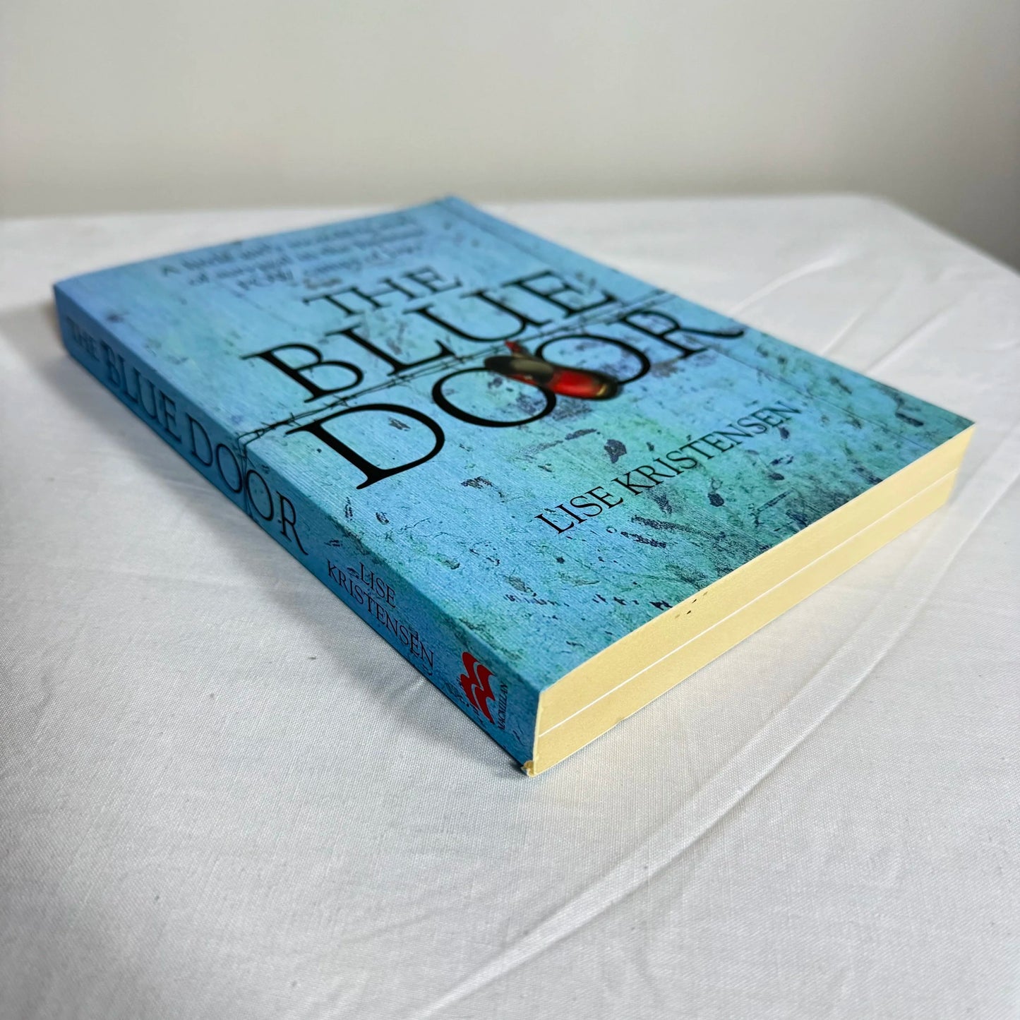 The Blue Door - Lise Kristensen