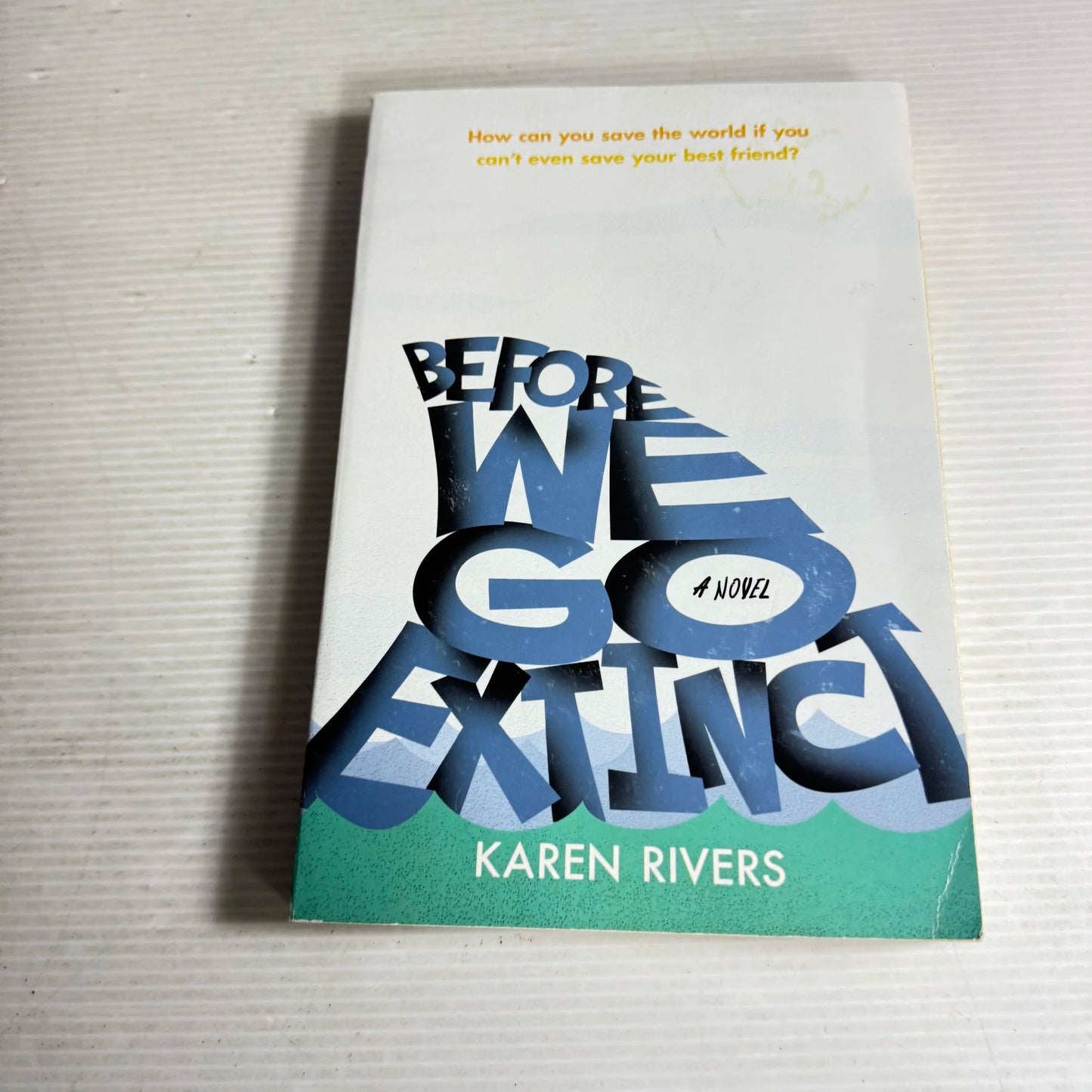 Before We Go Extinct - Karen Rivers