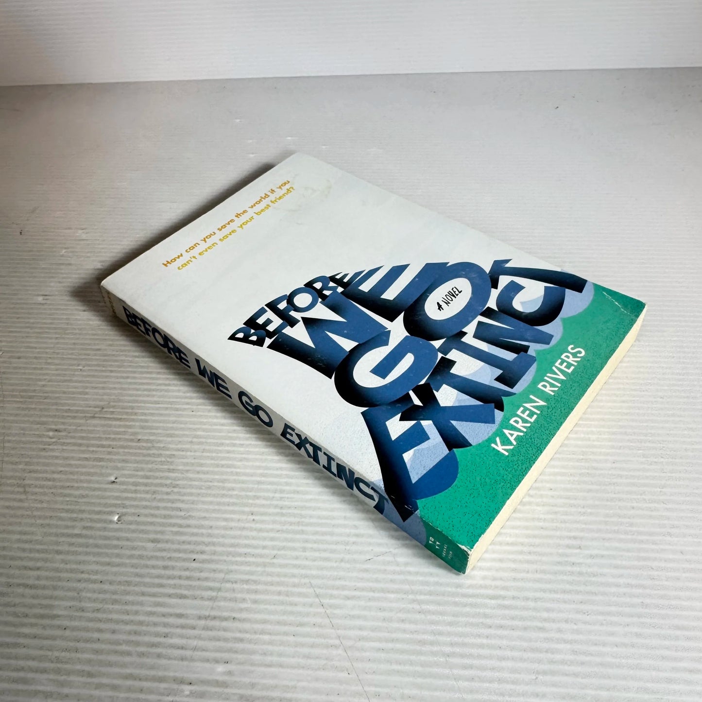 Before We Go Extinct - Karen Rivers