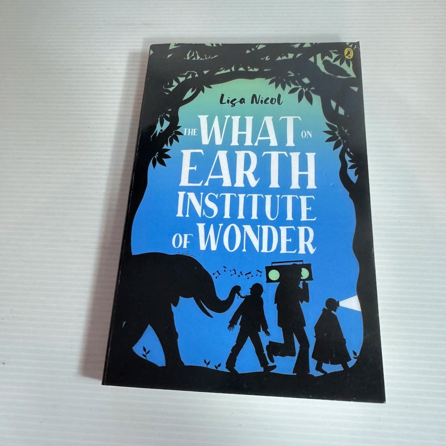 The What on Earth Institute of Wonder - Lisa Nicola