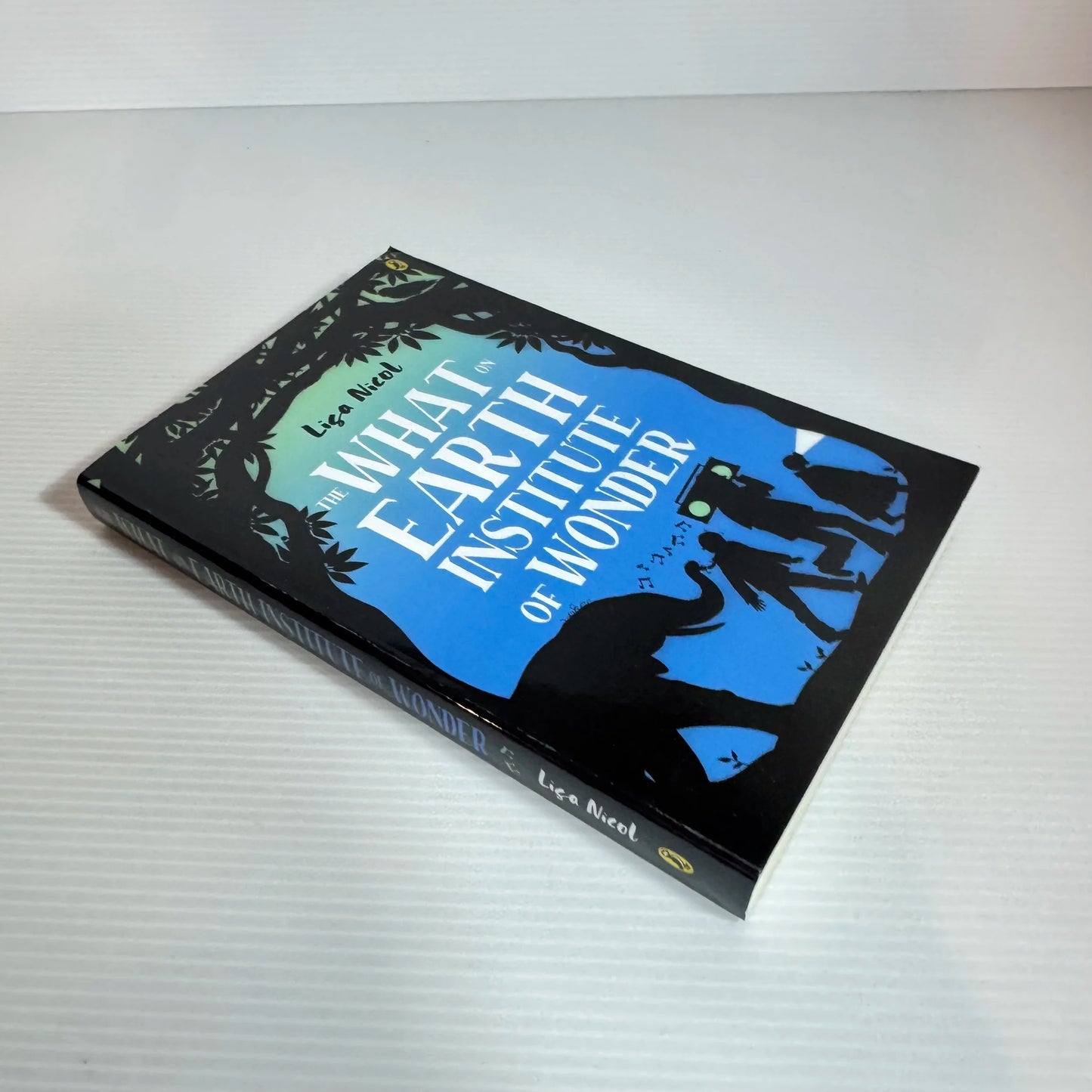 The What on Earth Institute of Wonder - Lisa Nicola