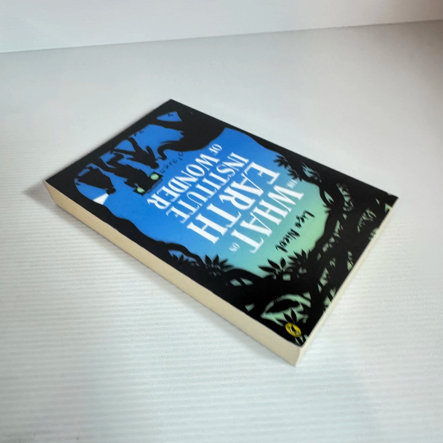 The What on Earth Institute of Wonder - Lisa Nicola