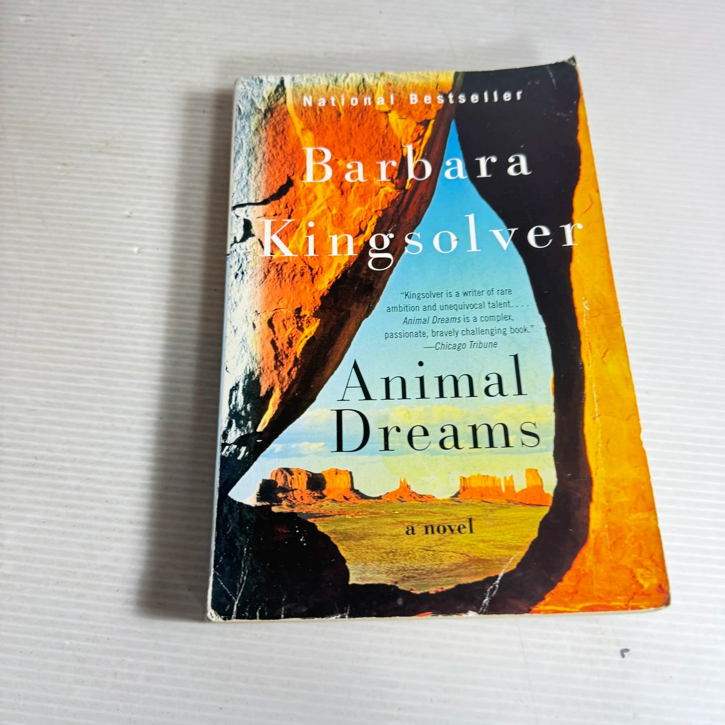 Animal Dreams - Barbara Longsolver