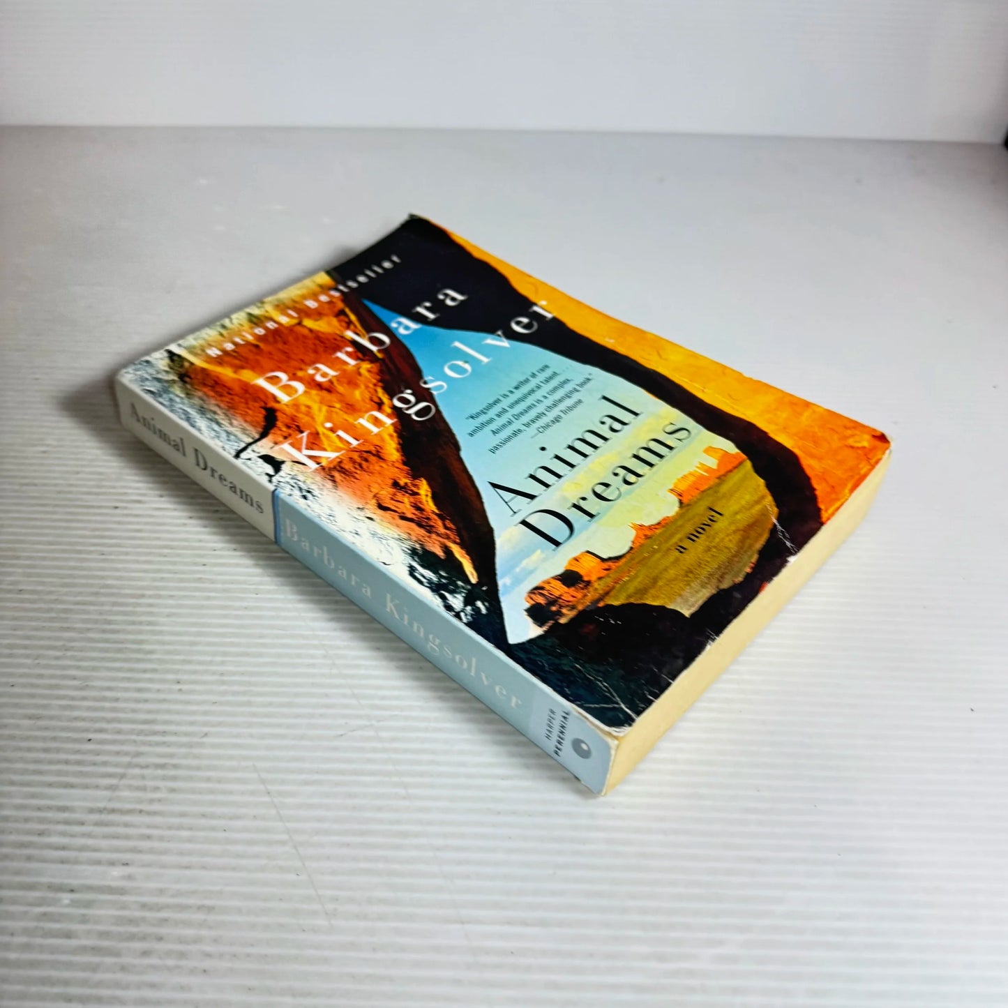 Animal Dreams - Barbara Longsolver