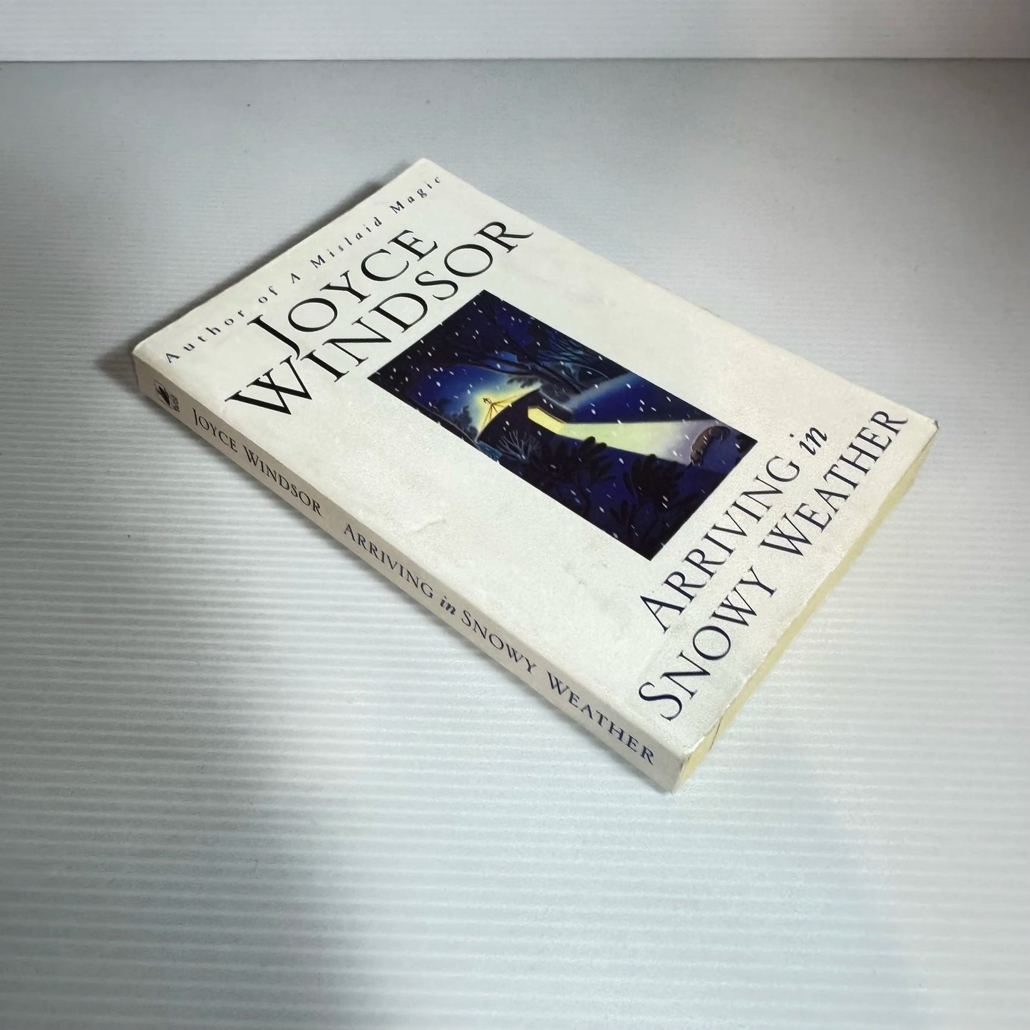 Arriving in Snowy Weather - Joyce Windsor