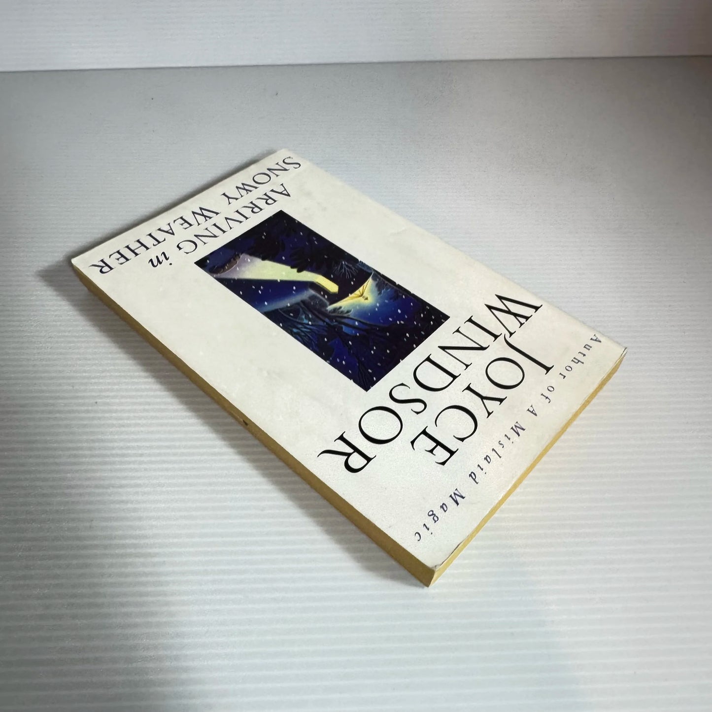 Arriving in Snowy Weather - Joyce Windsor