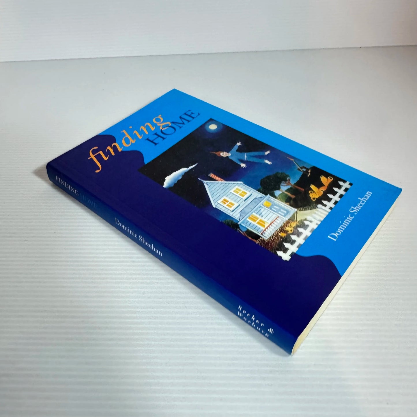 Finding Home - Dominic Sheehan