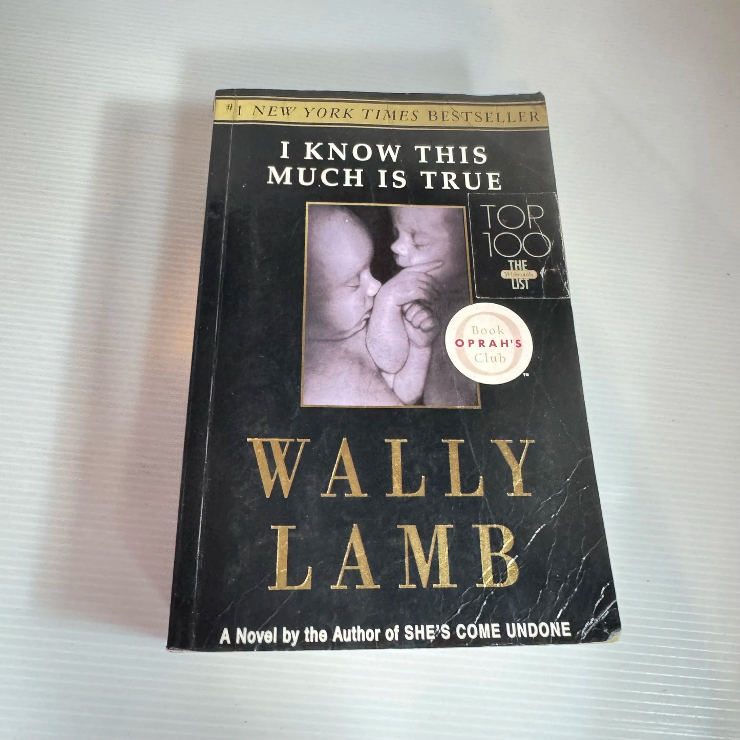 I Know This Much Is True - Wally Lamb