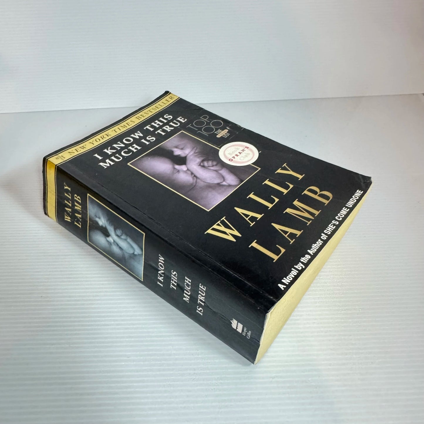 I Know This Much Is True - Wally Lamb