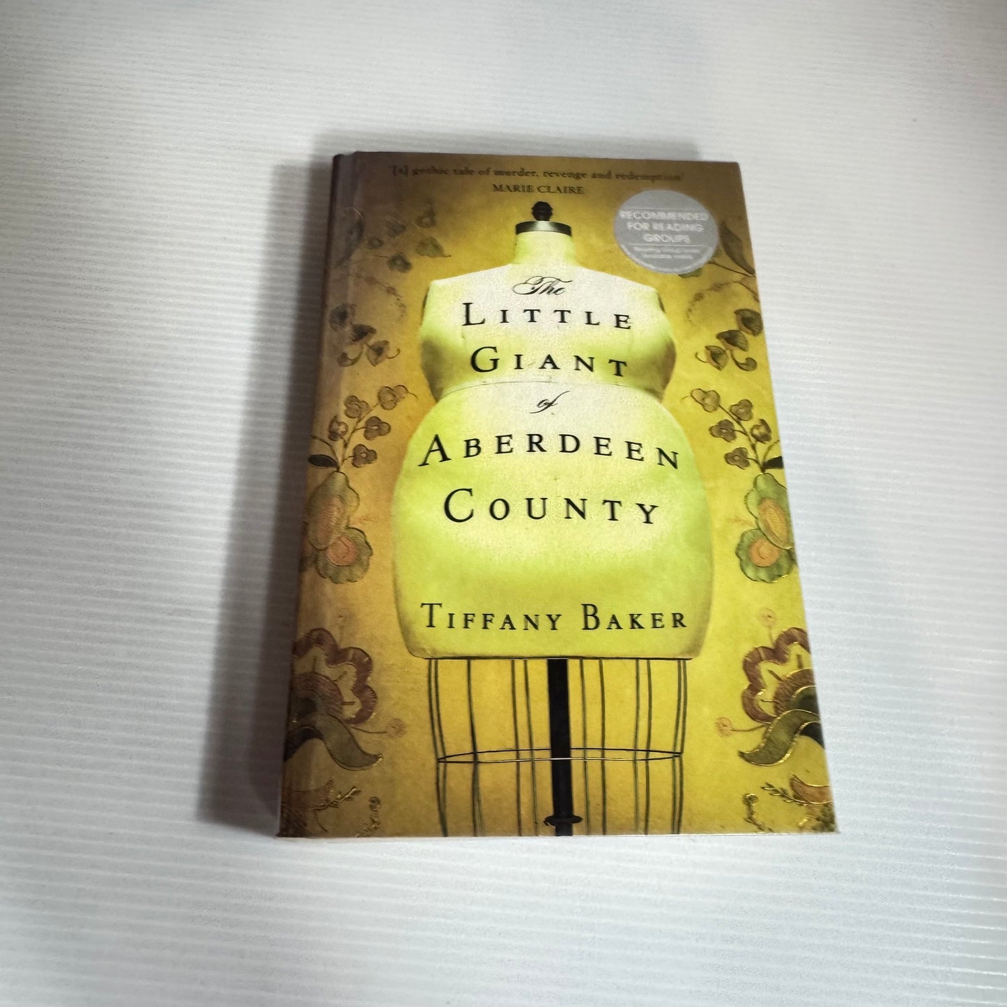 The Little Giant of Aberdeen County - Tiffany Baker