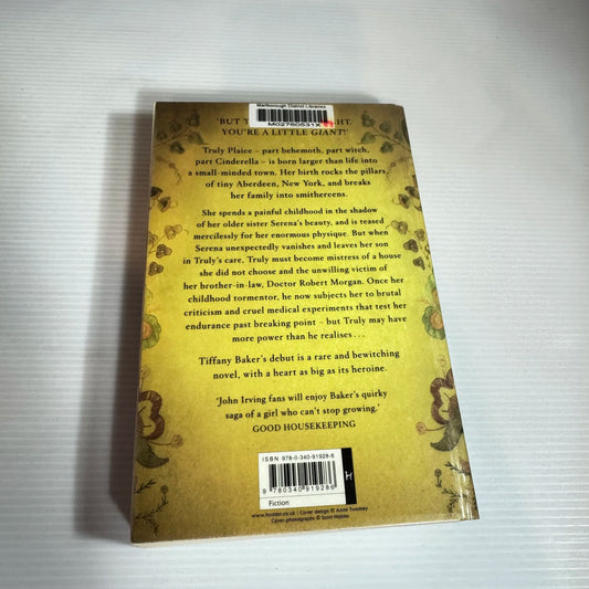 The Little Giant of Aberdeen County - Tiffany Baker