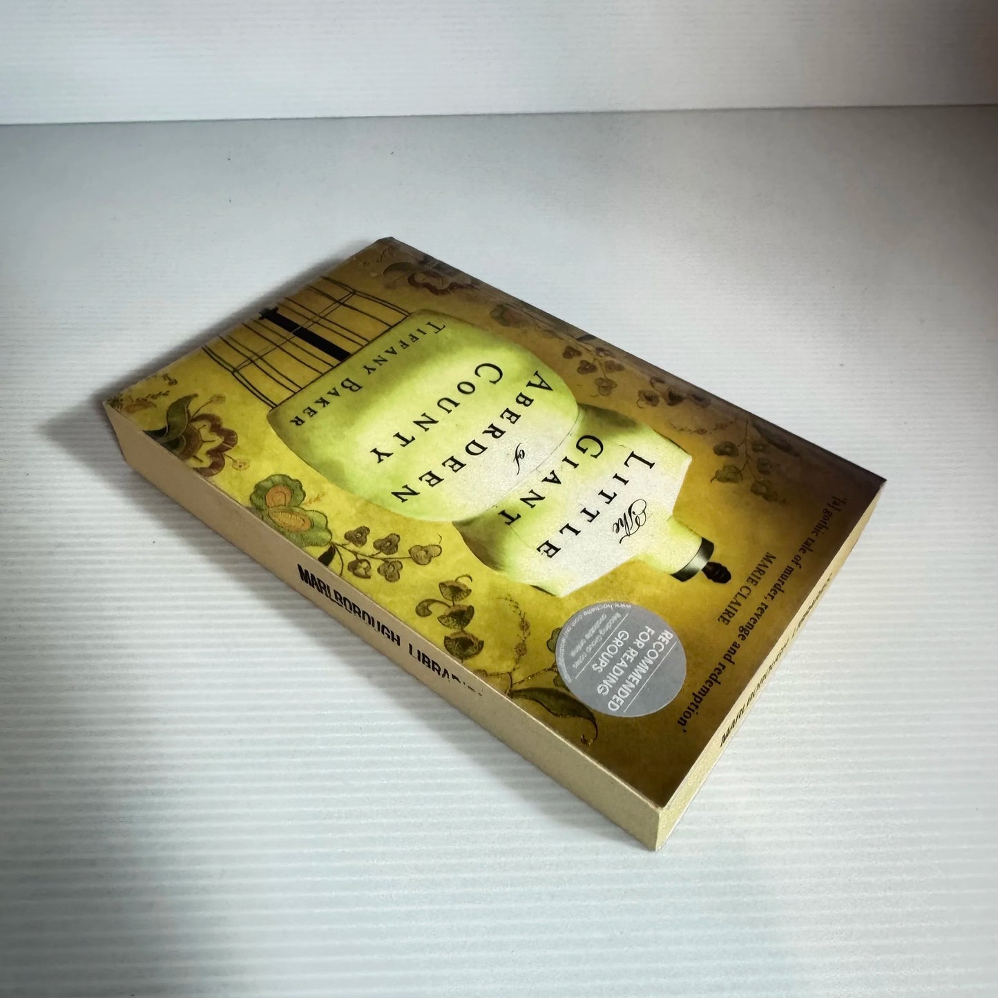 The Little Giant of Aberdeen County - Tiffany Baker