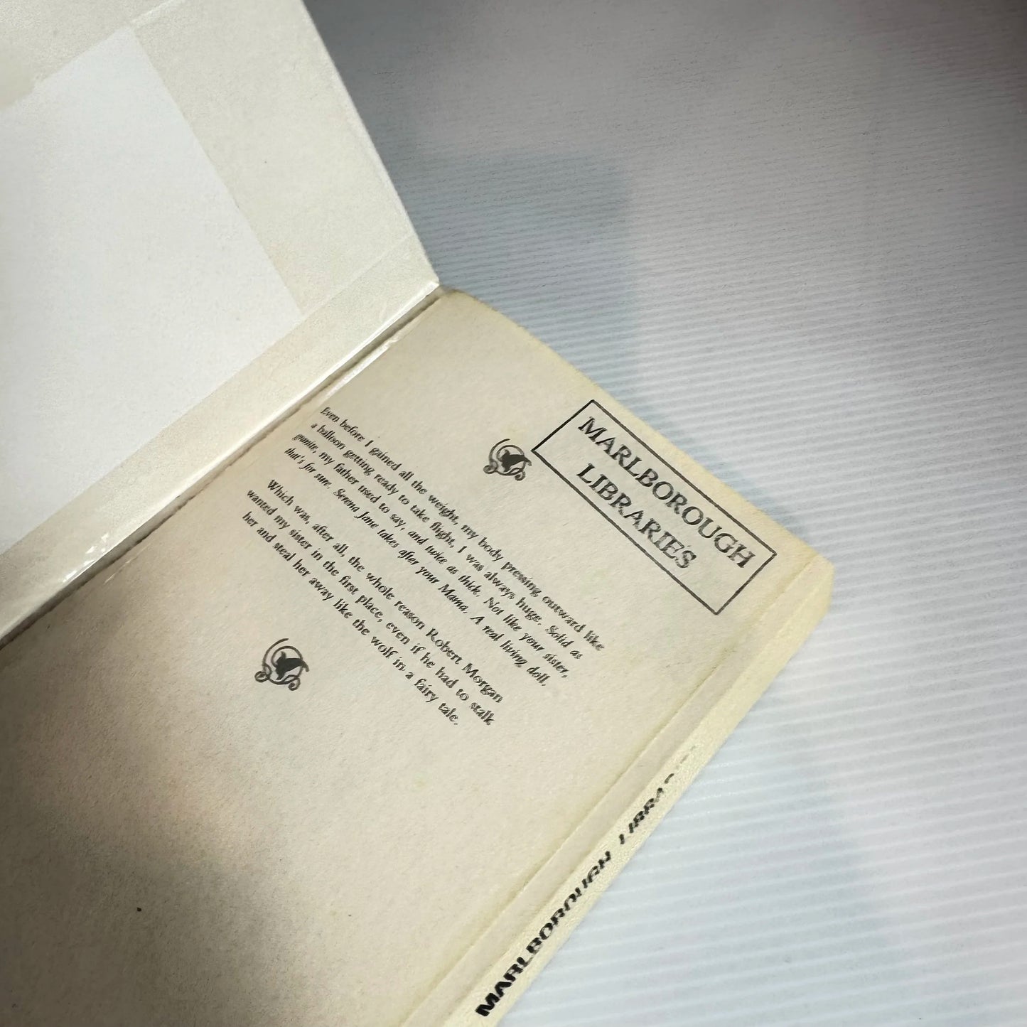 The Little Giant of Aberdeen County - Tiffany Baker