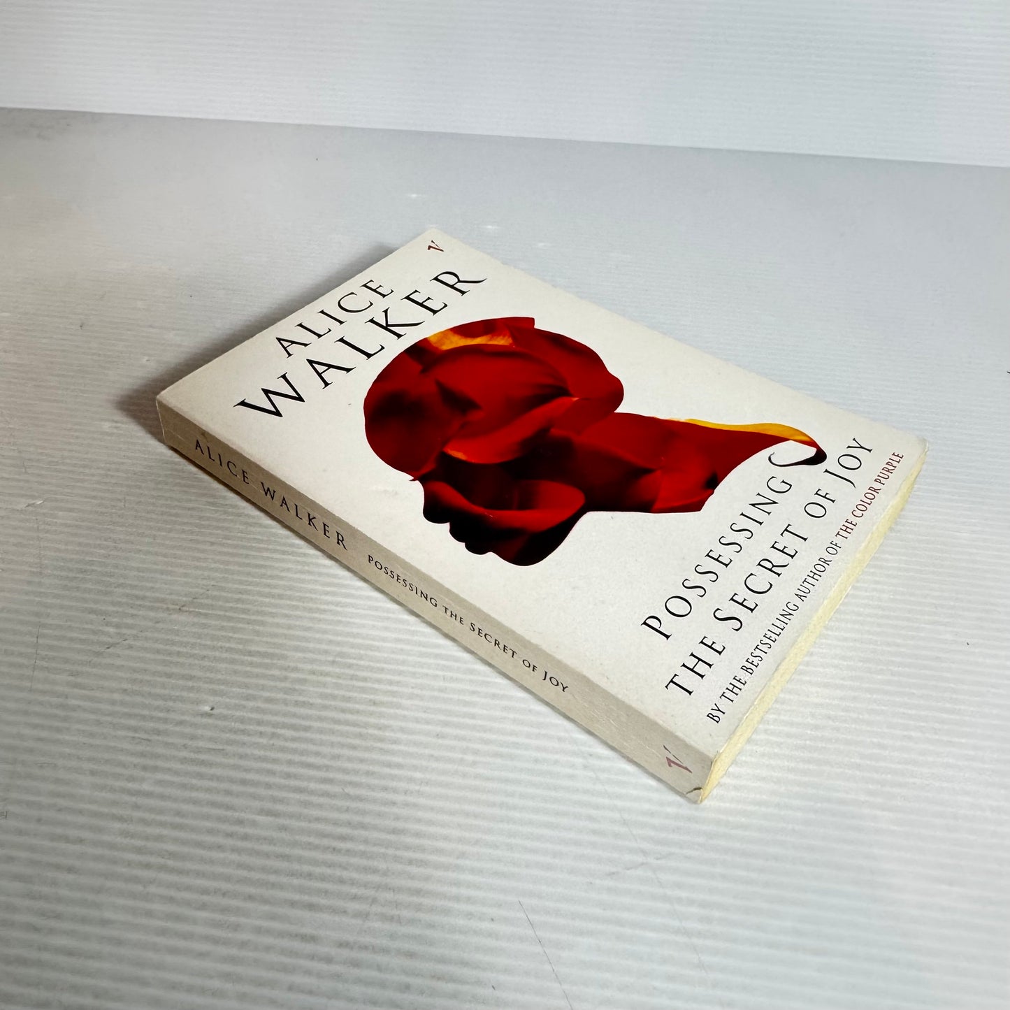 Possessing the Secret of Joy - Alice Walker