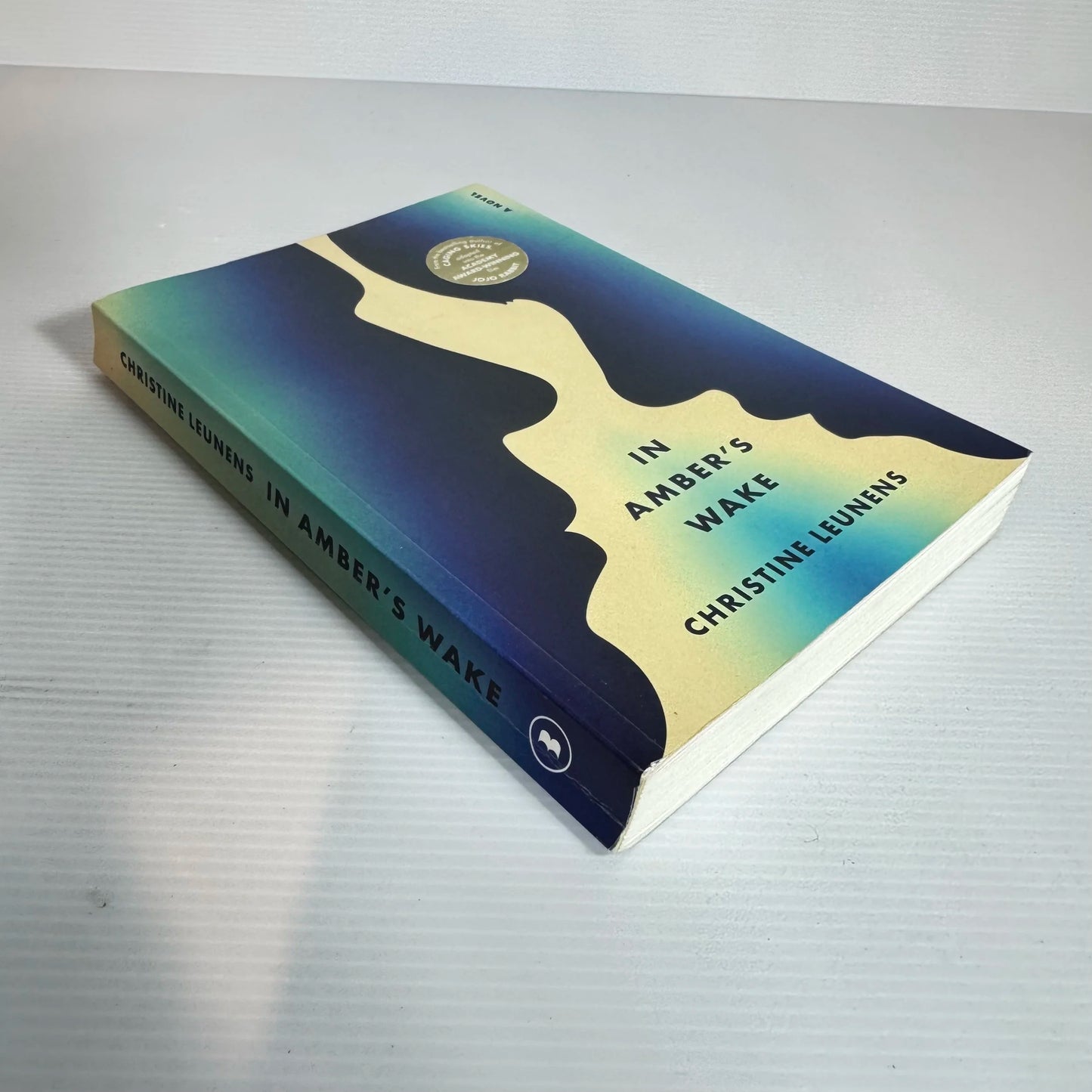 In Amber's Wake - Christine Leunens