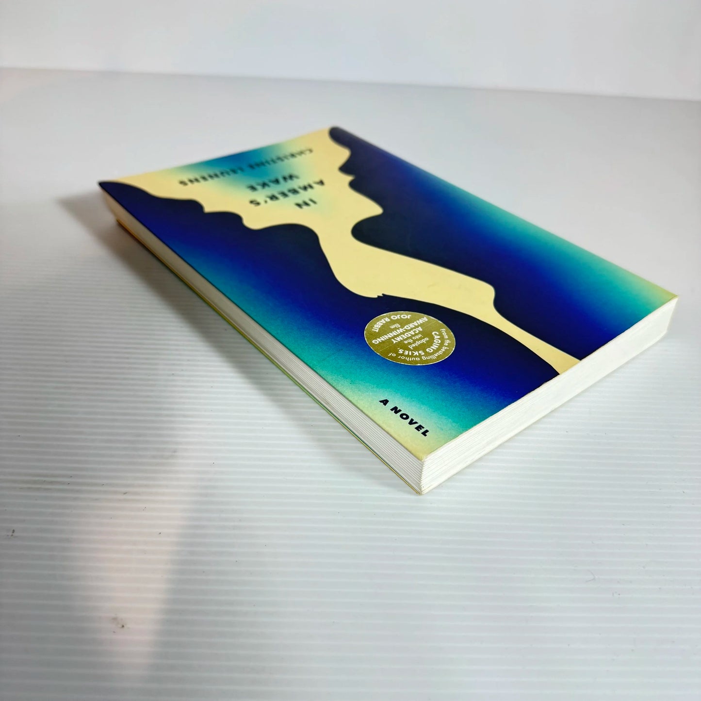 In Amber's Wake - Christine Leunens