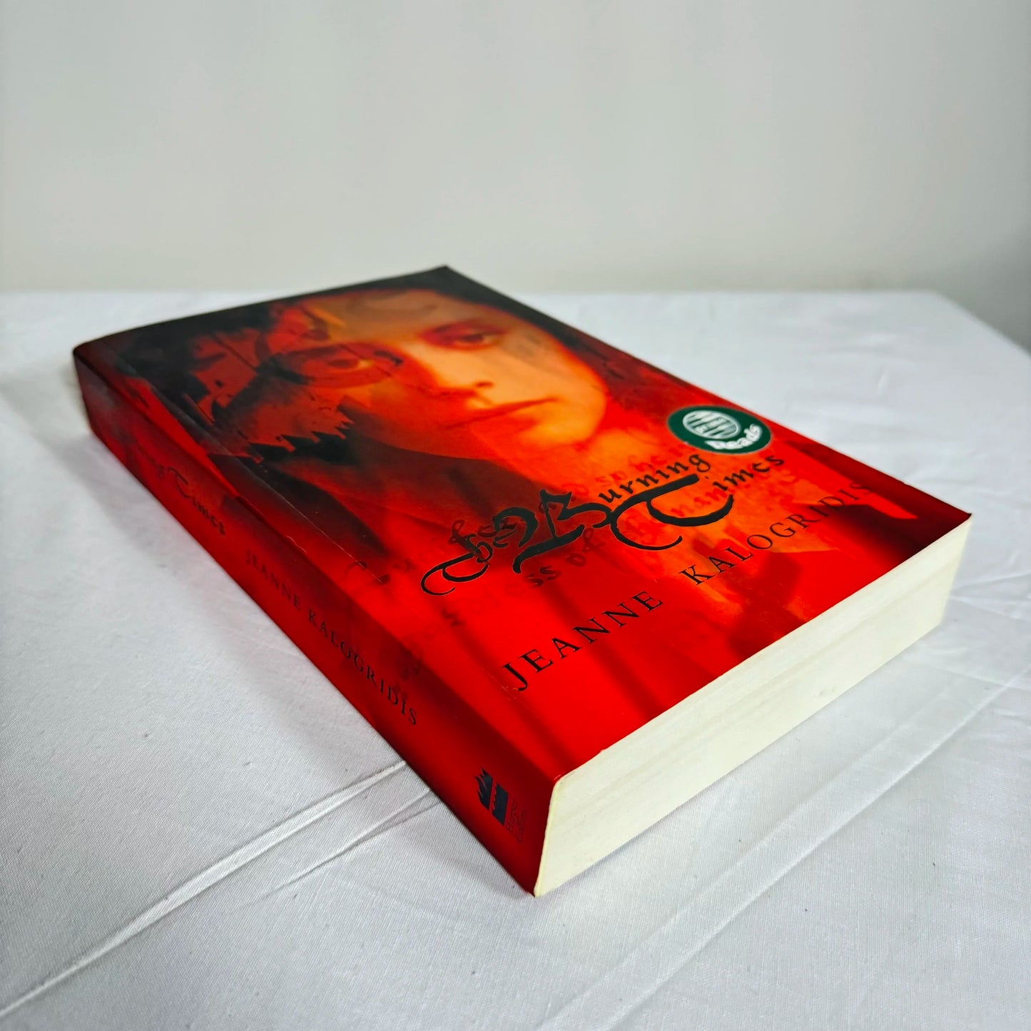 The Burning Times - Jeanne Kalogridis
