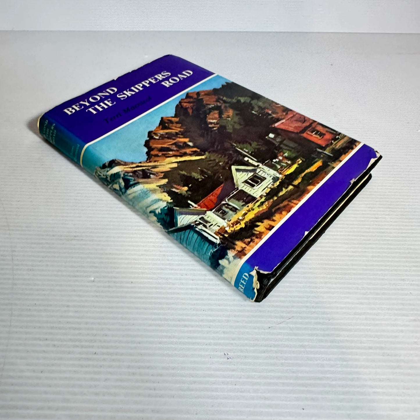Beyond The Skippers Road - Terri Macnicol (Vintage 1973)