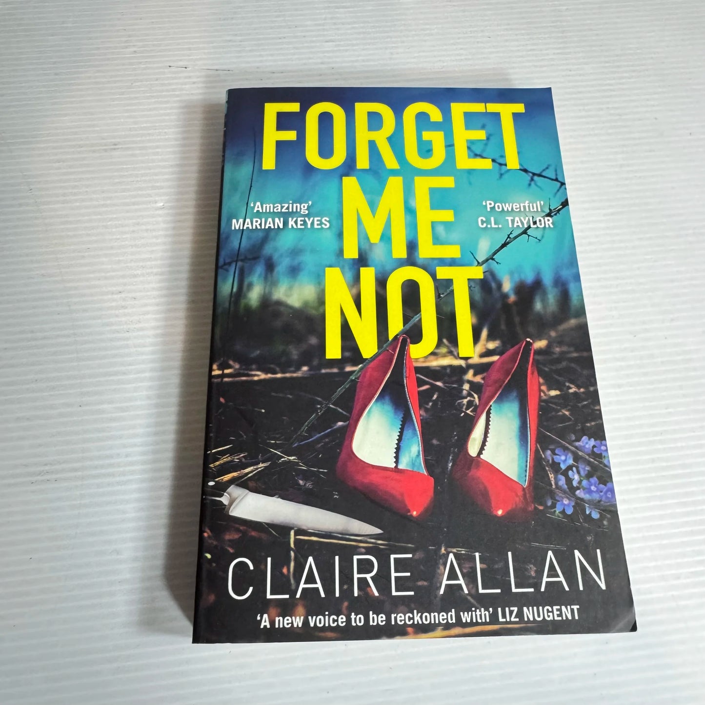 Forget Me Not - Claire Allan