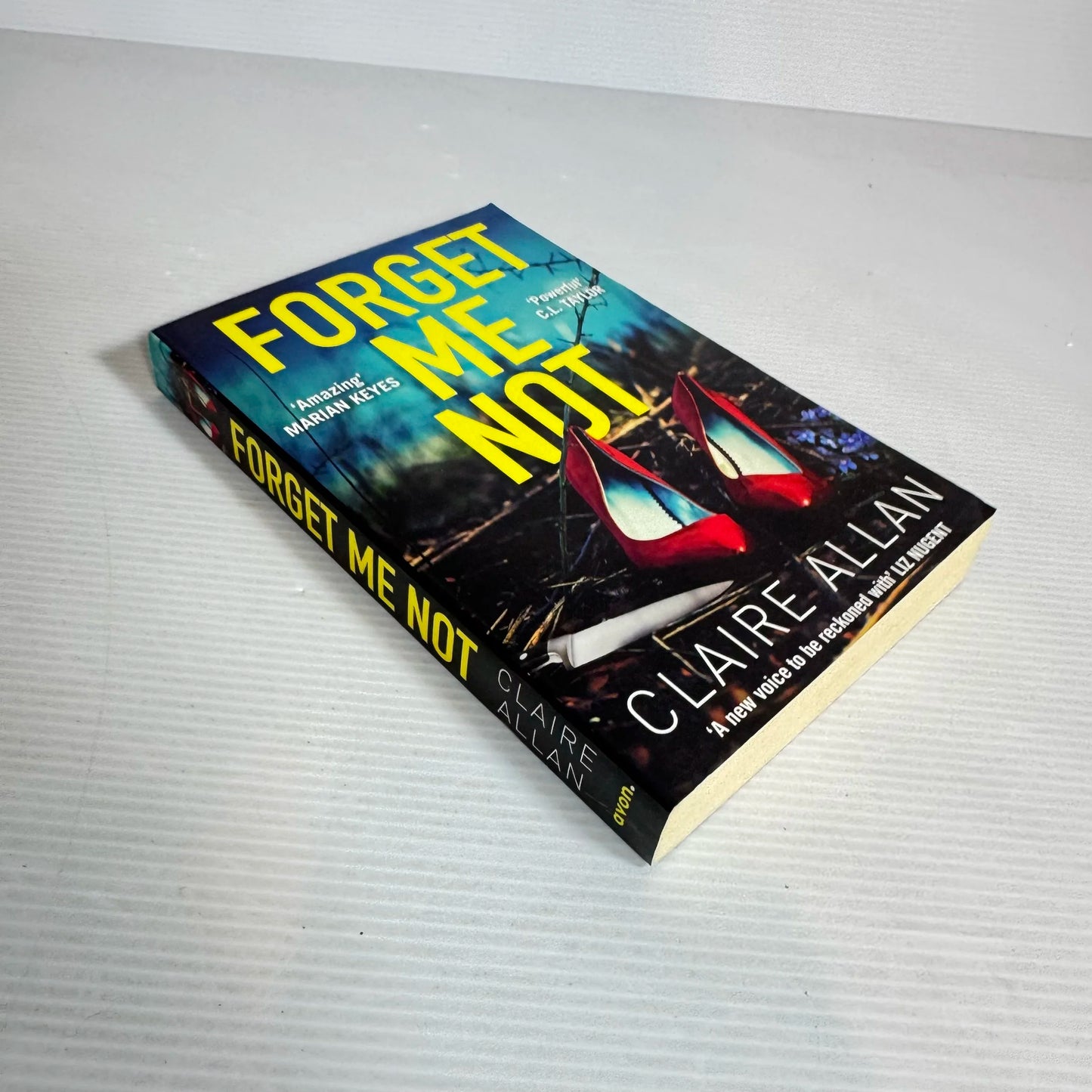 Forget Me Not - Claire Allan