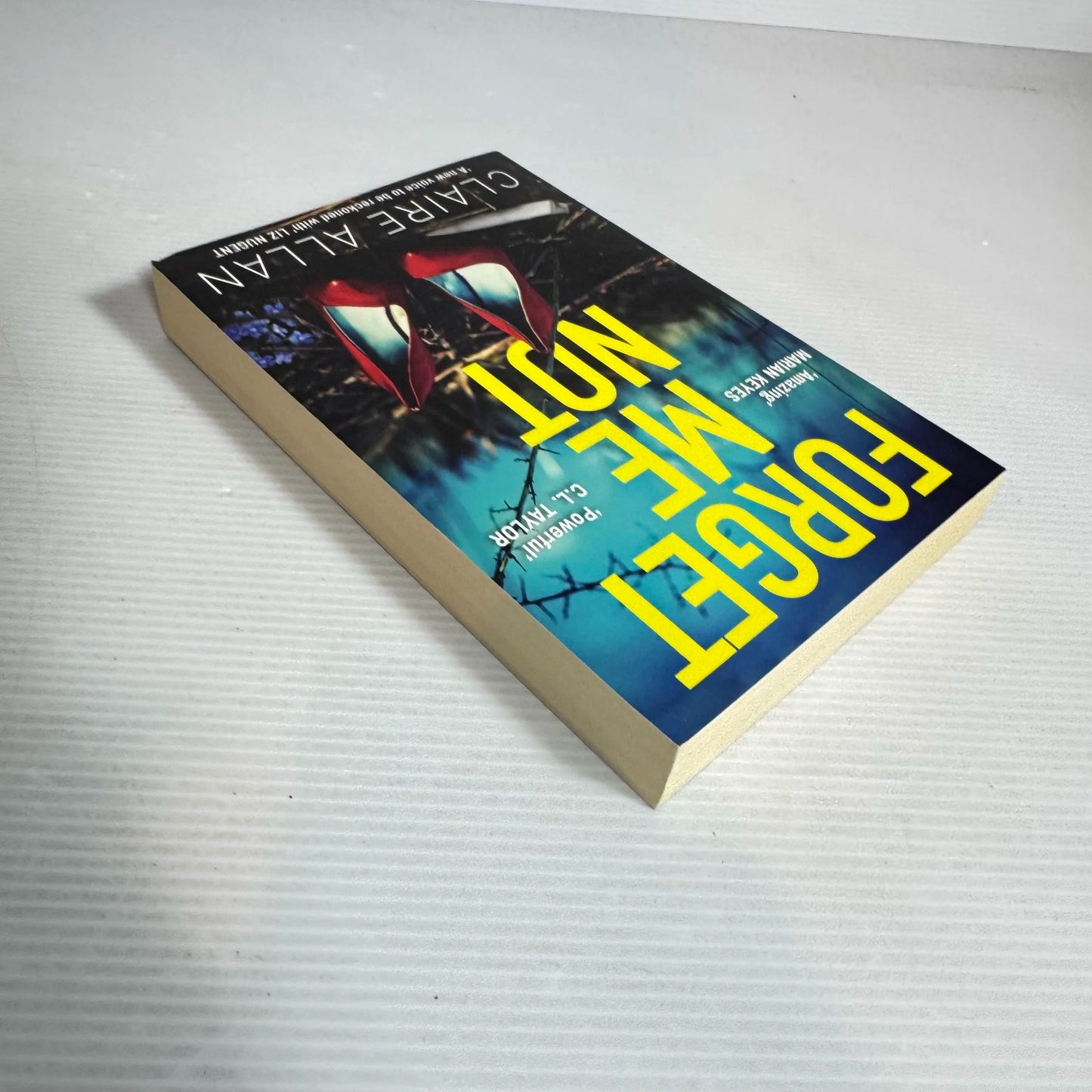 Forget Me Not - Claire Allan