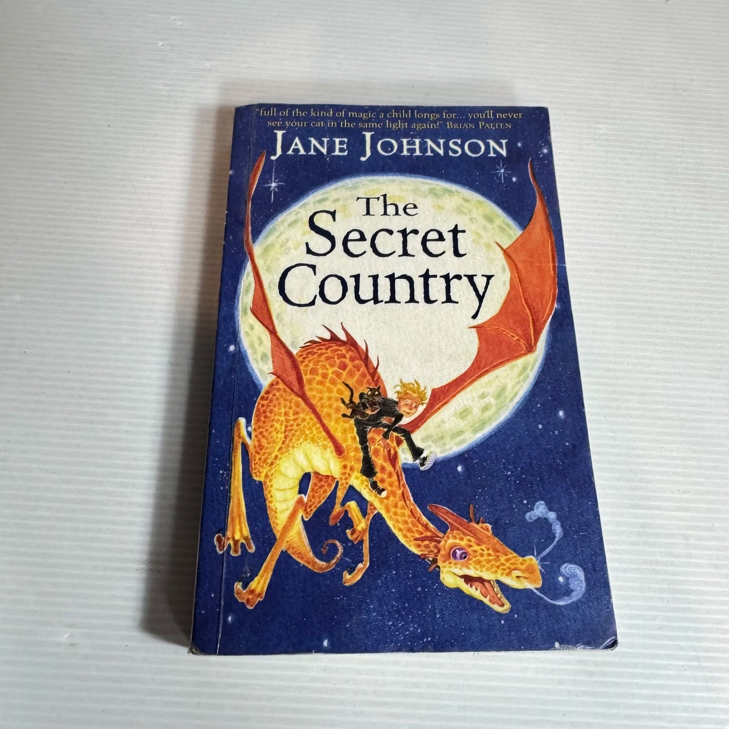 The Secret Country - Jane Johnson