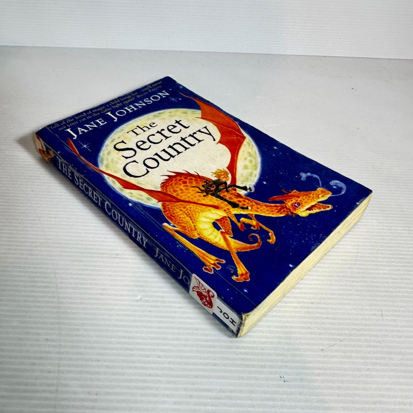 The Secret Country - Jane Johnson