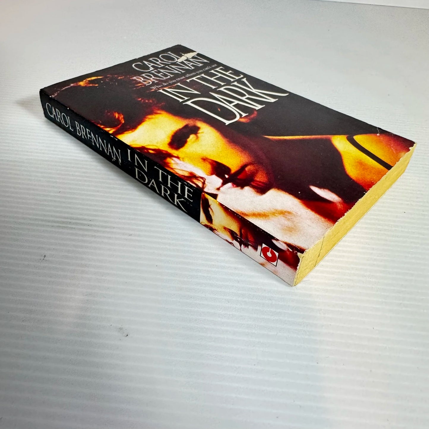 In The Dark - Carol Brennan