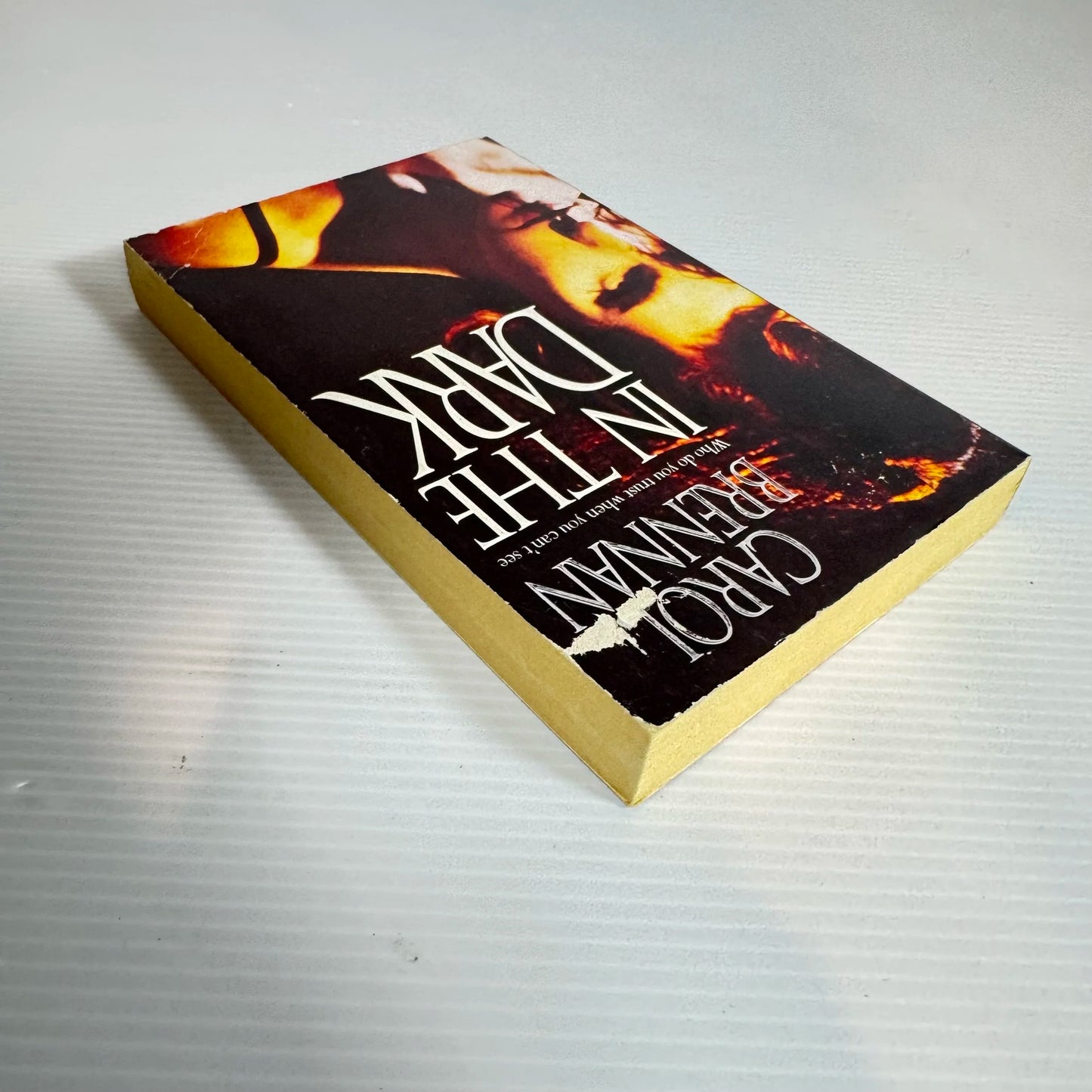 In The Dark - Carol Brennan