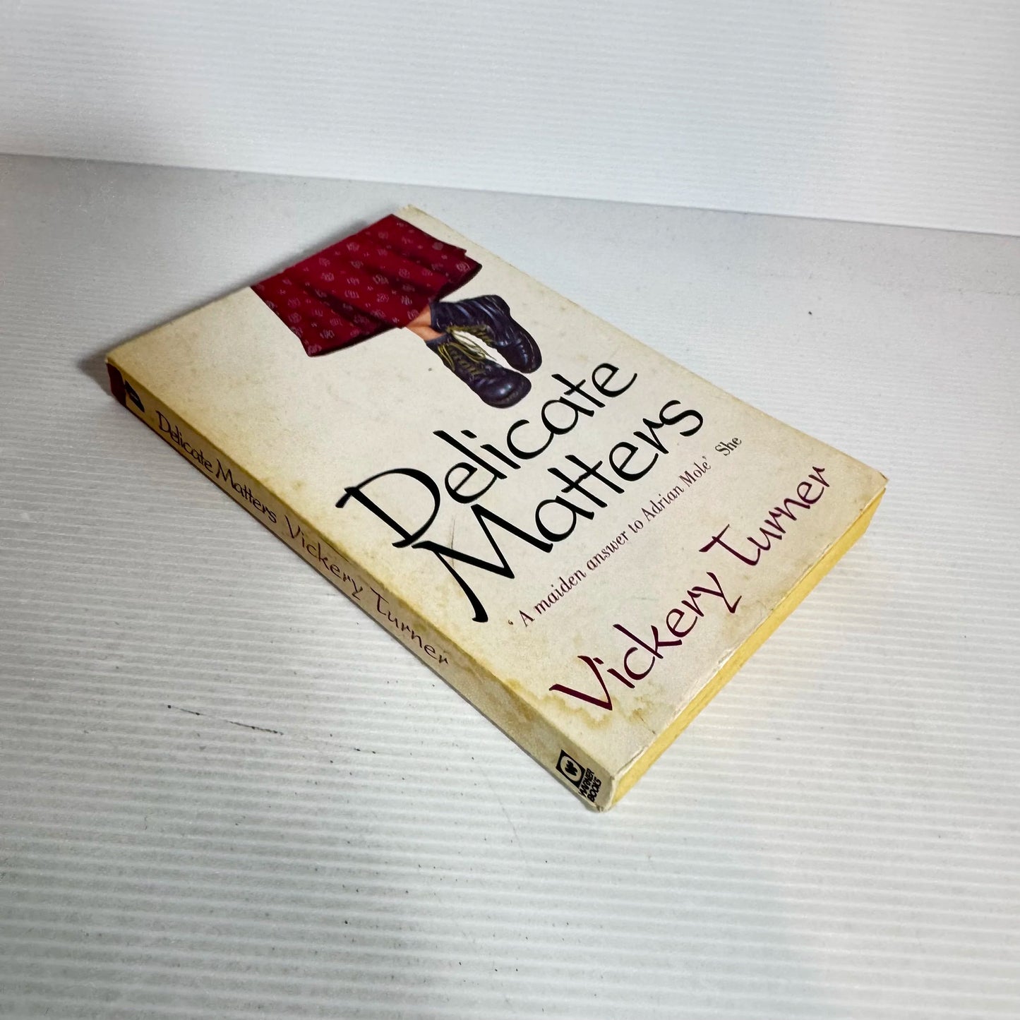 Delicate Matters - Vickery Turner