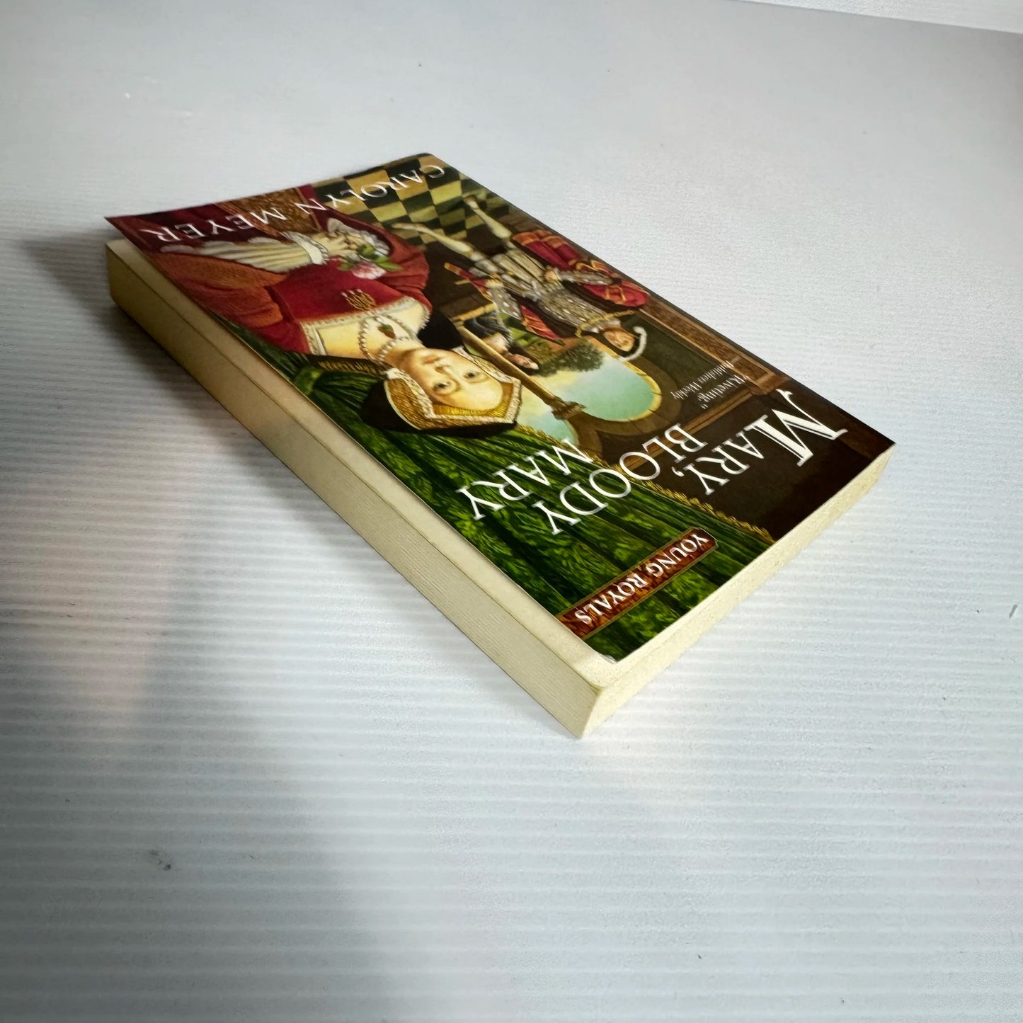 Mary, Bloody Mary - Carolyn Meyer