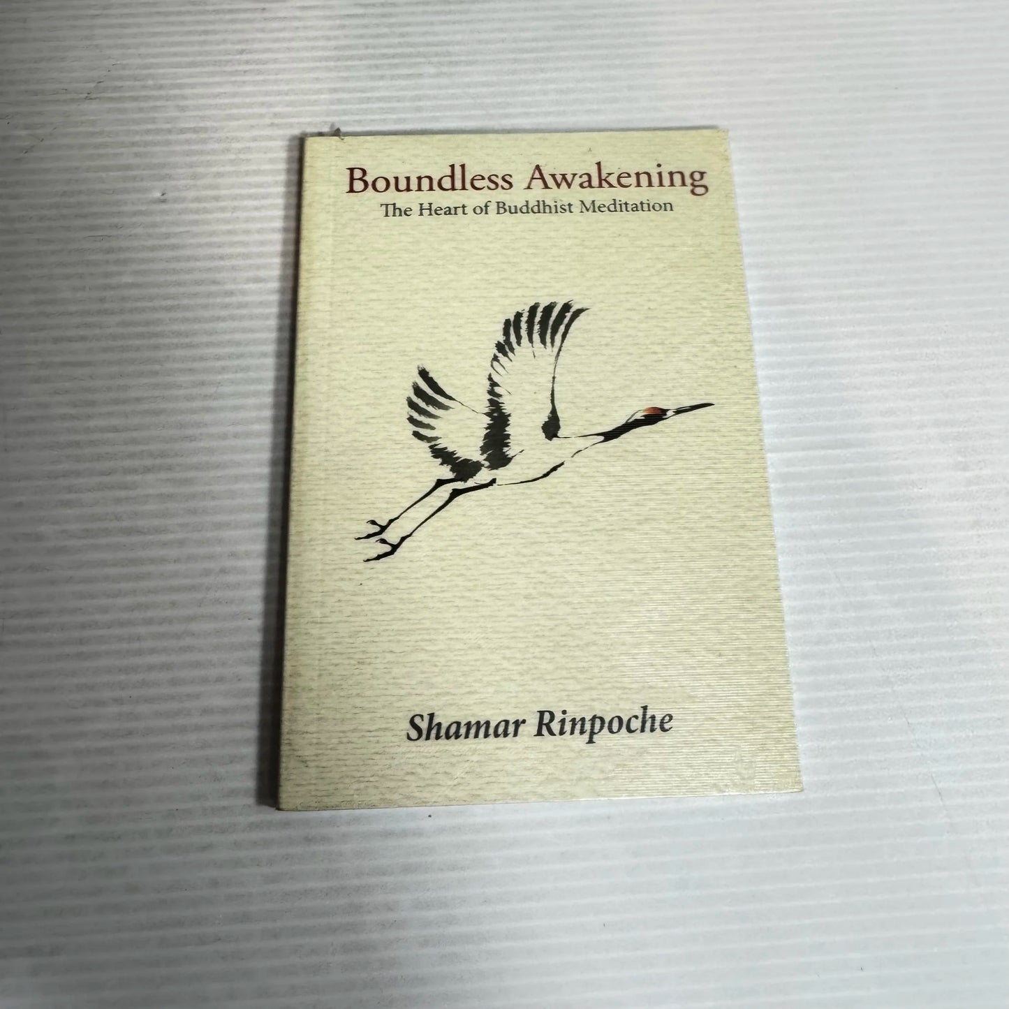 Boundless Awakening : The Heart of Buddhist Mediation - Shamar Rinpoche