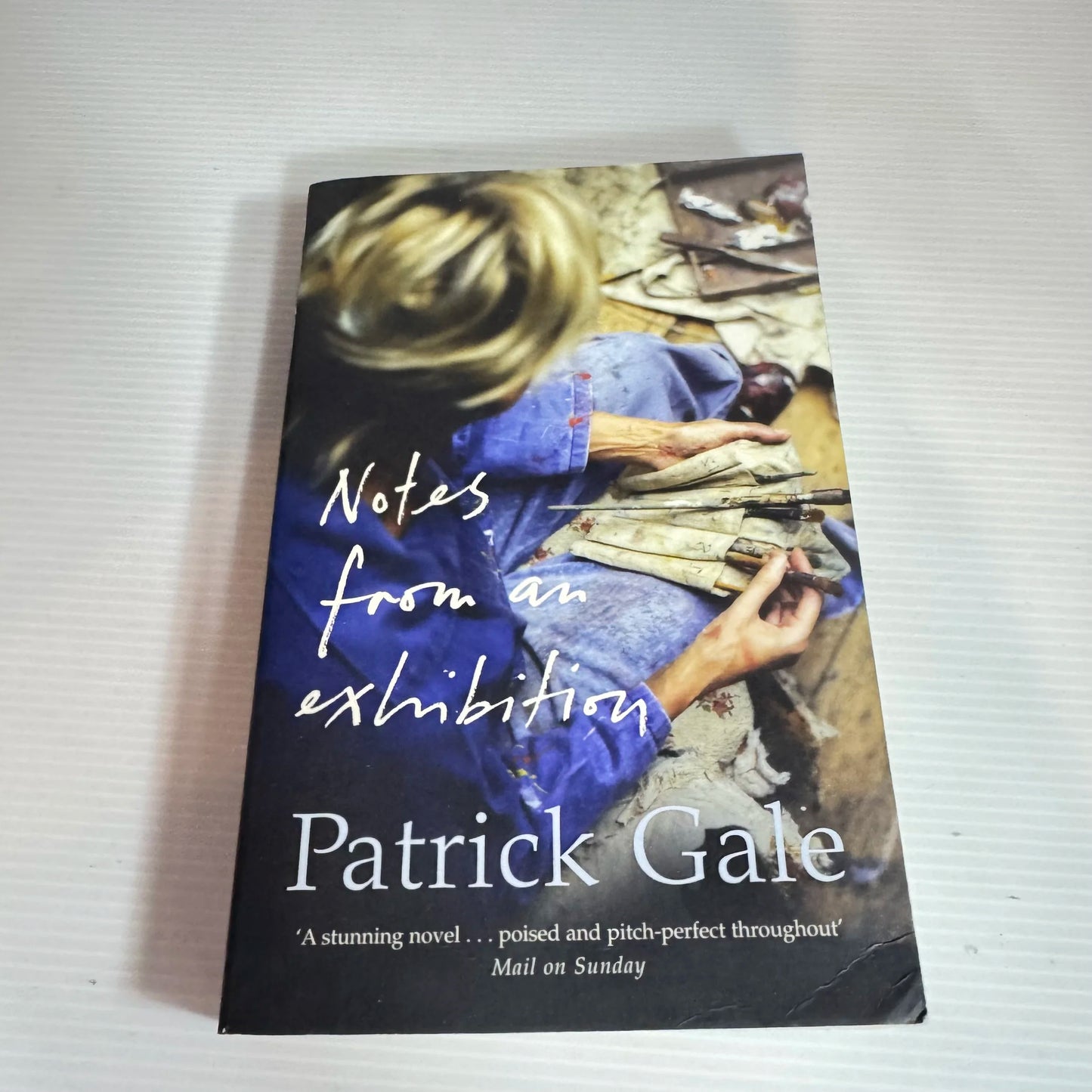 Notes from an Exhibition - Patrick Gale