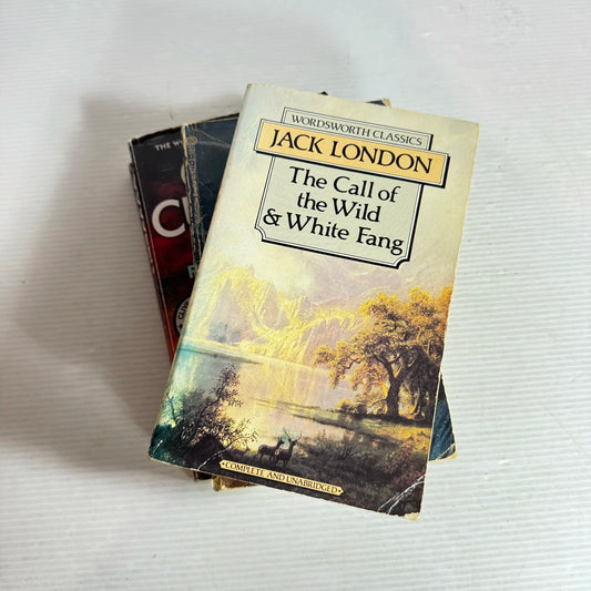 Adventure Book Bundle x 3 Books : Mixed Authors (715)