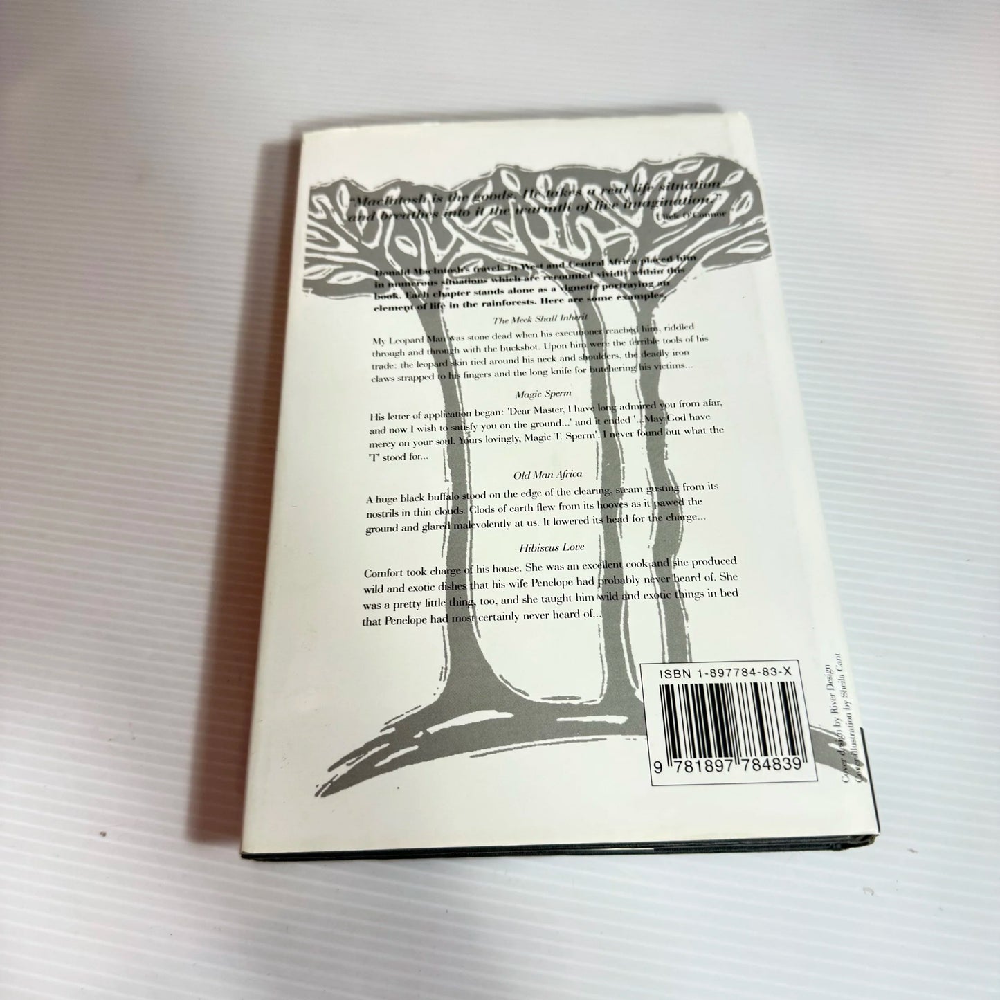 Travels In the White Man's Grave - Donald MacIntosh