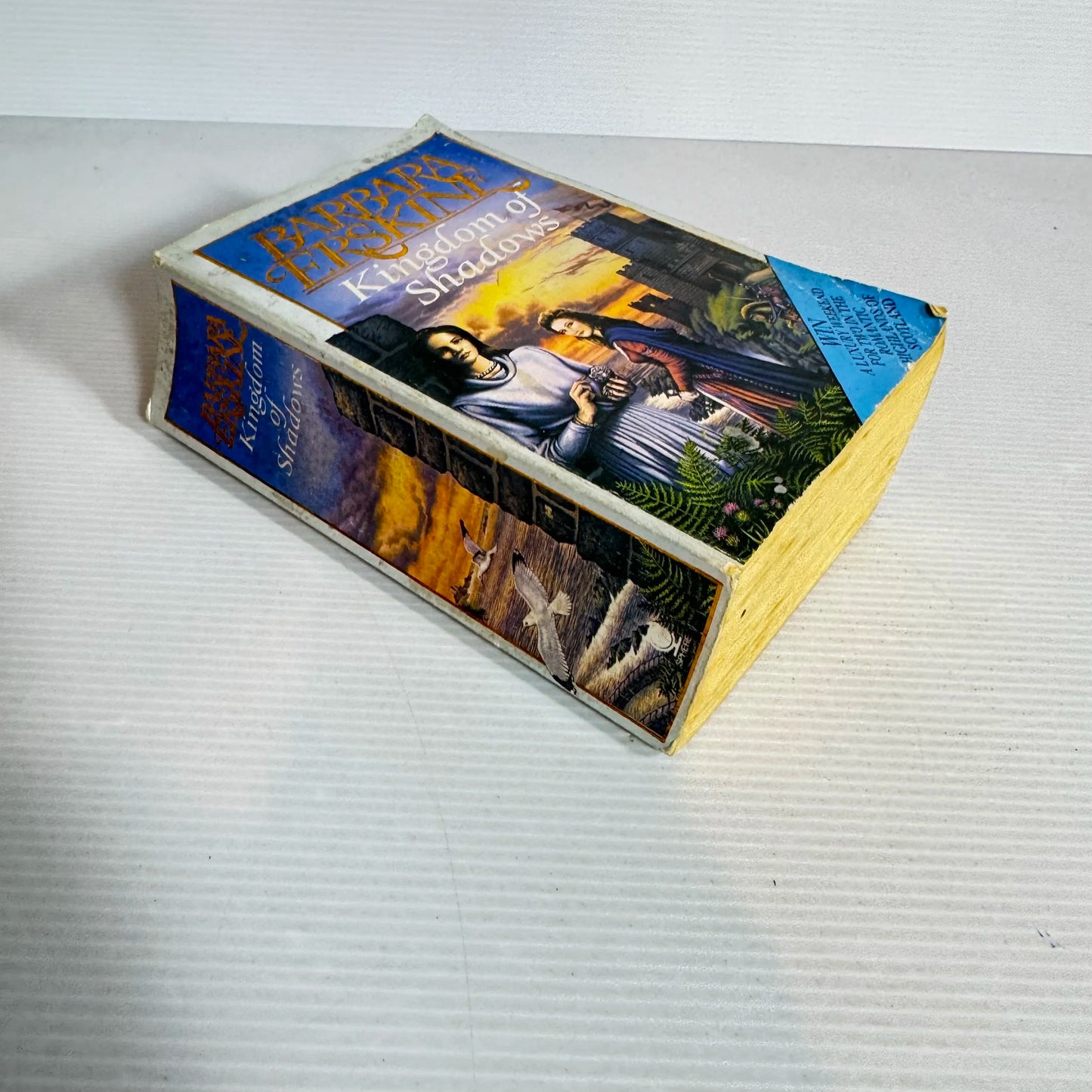 Kingdom of Shadows - Barbara Erskine