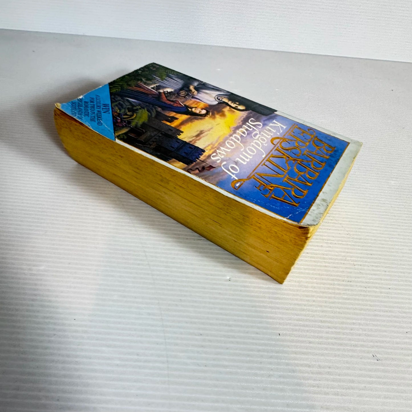 Kingdom of Shadows - Barbara Erskine